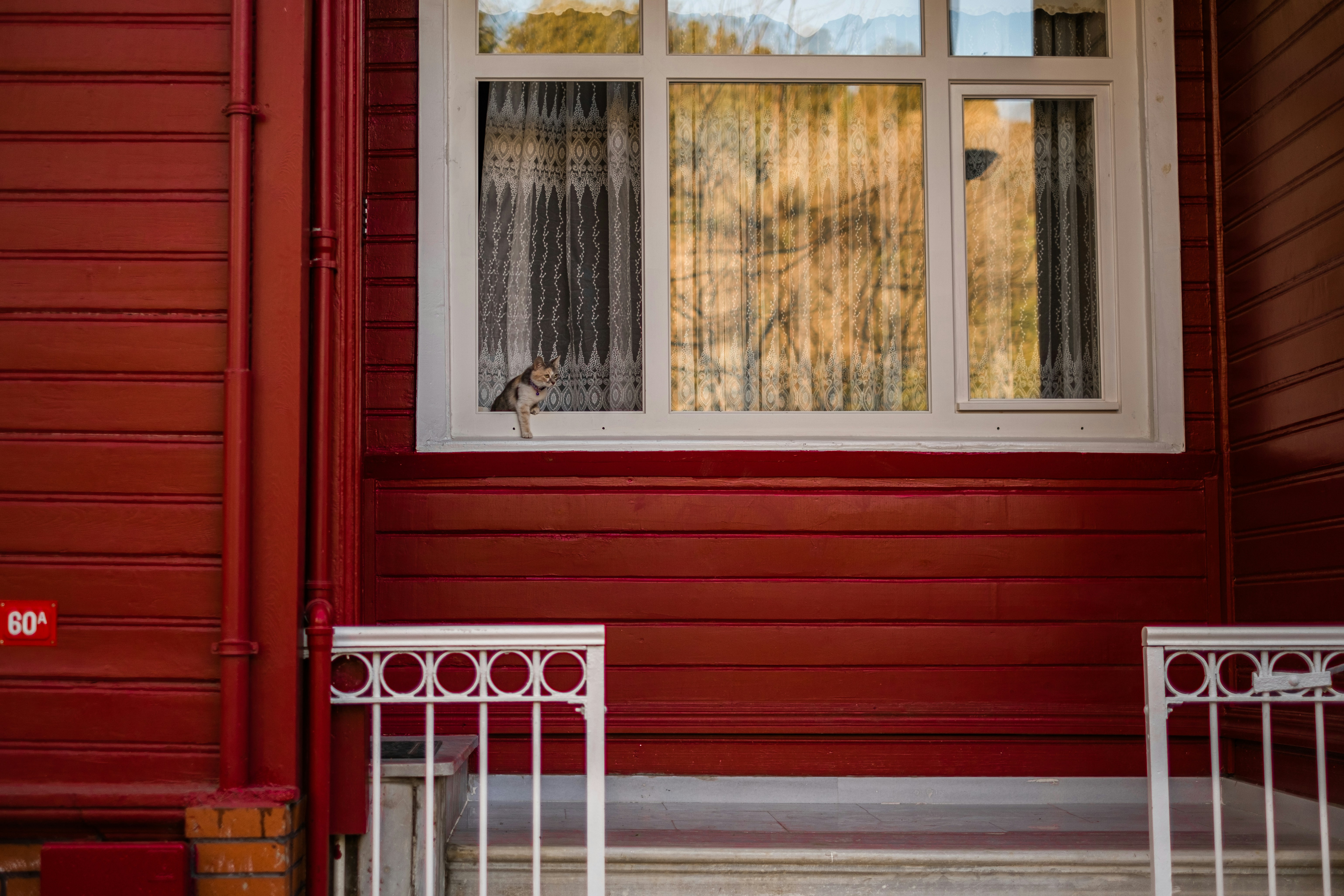 Photo by bilalfurkankosar