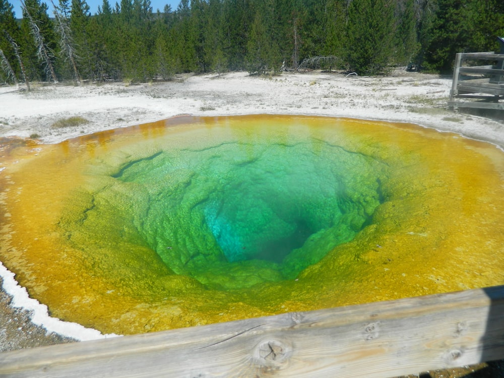 a green and yellow pool of water surrounded by trees