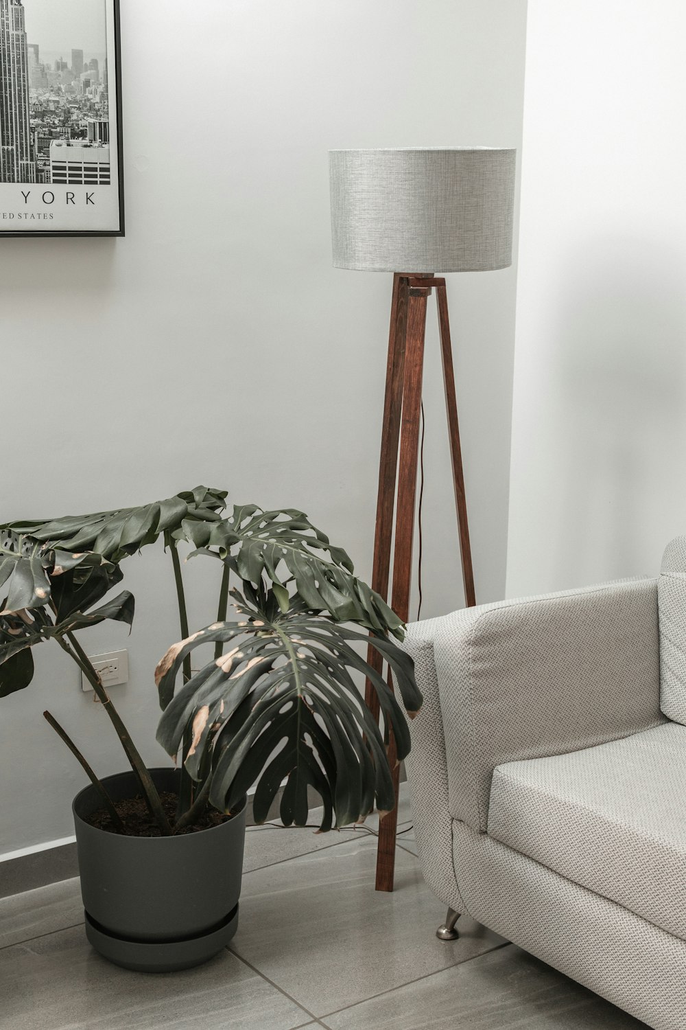 a living room with a couch and a plant