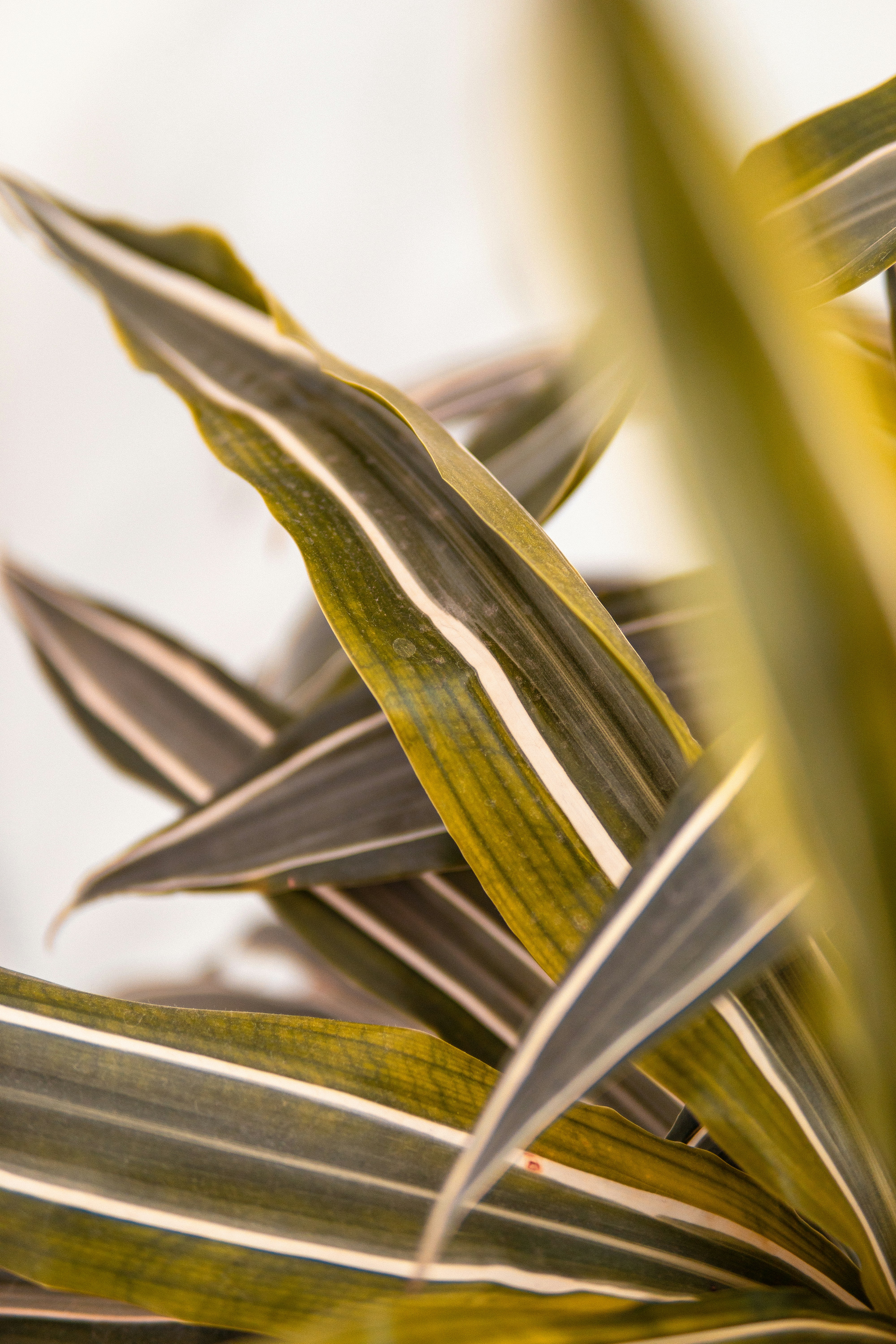 Photo by alex_quezada