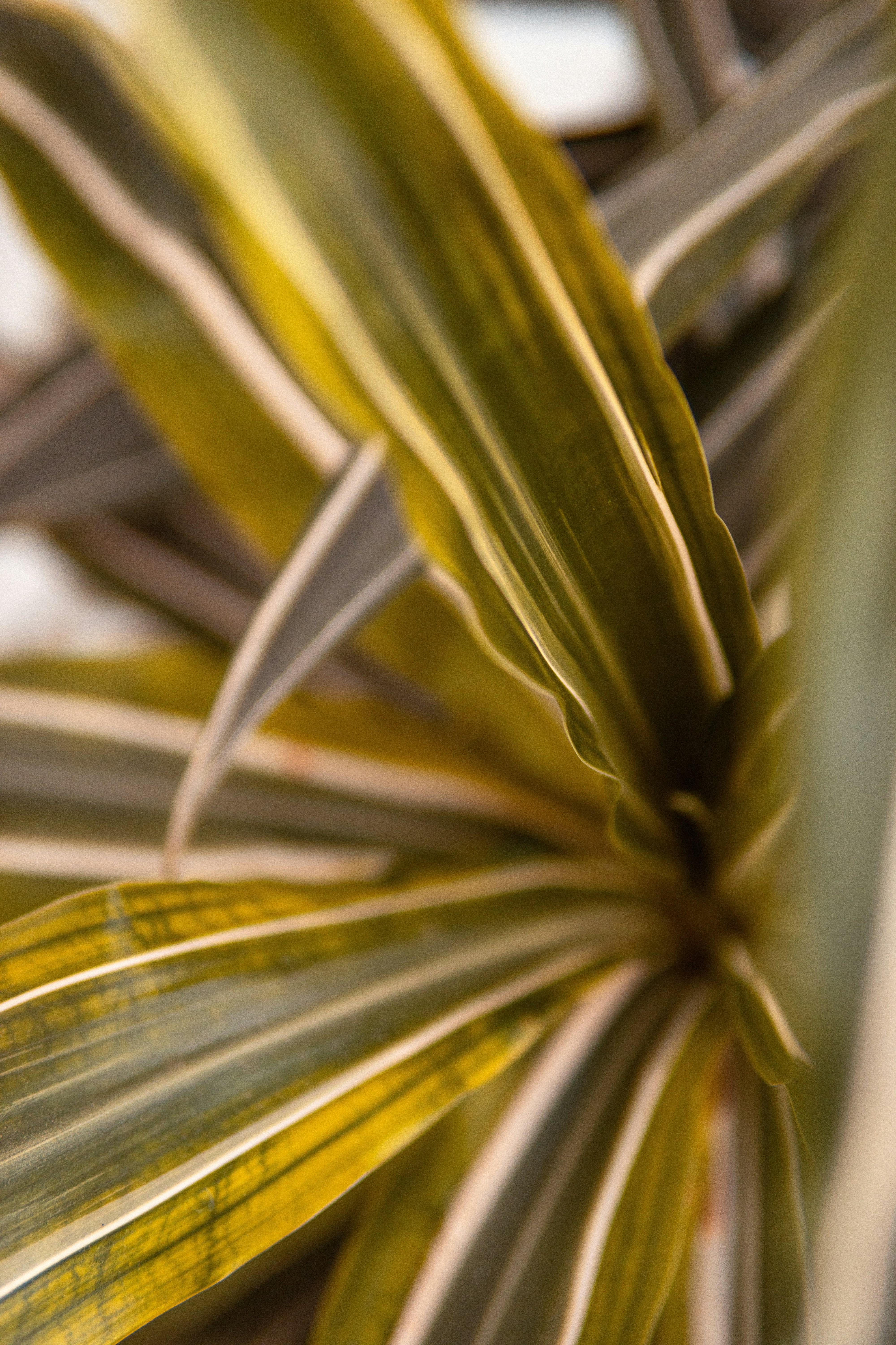 Photo by alex_quezada