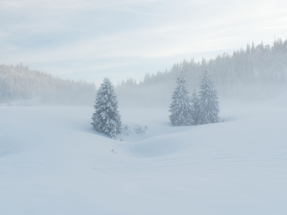 a snow covered landscape with trees in the distance