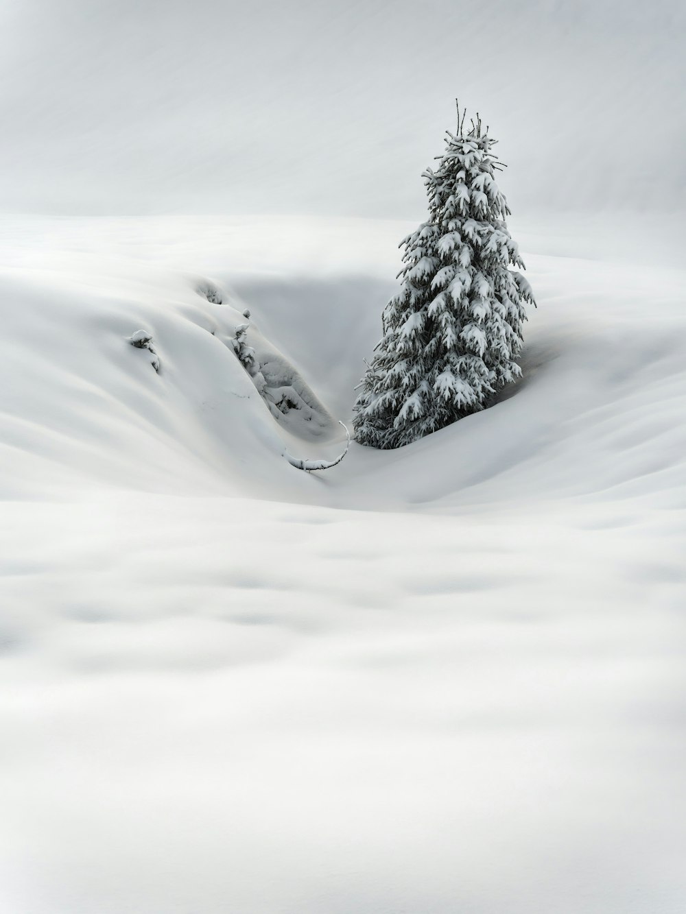 a snow covered hill with a lone tree in the middle