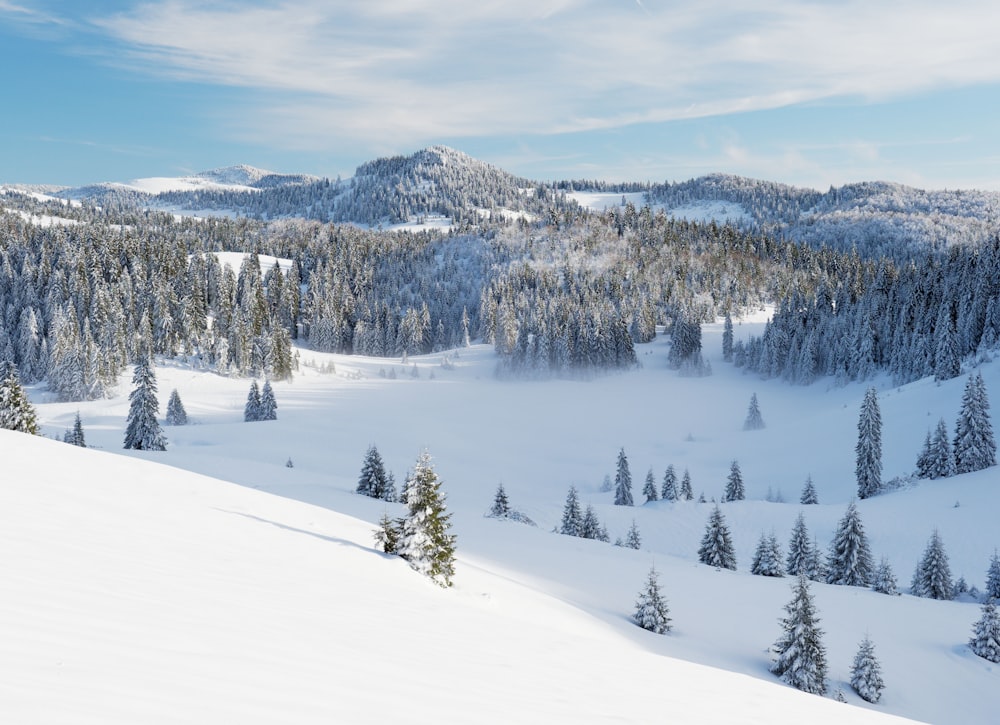 a snowy landscape with trees and mountains in the background