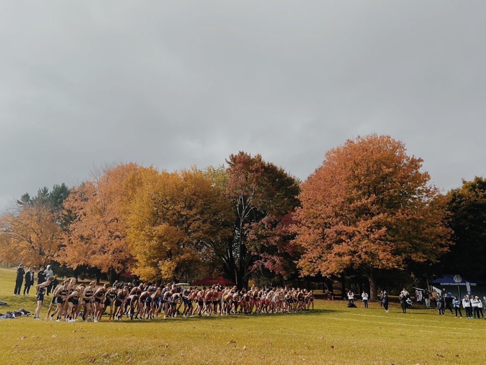 a large group of people standing in a field