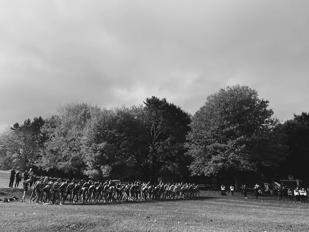 a large group of people standing in a field