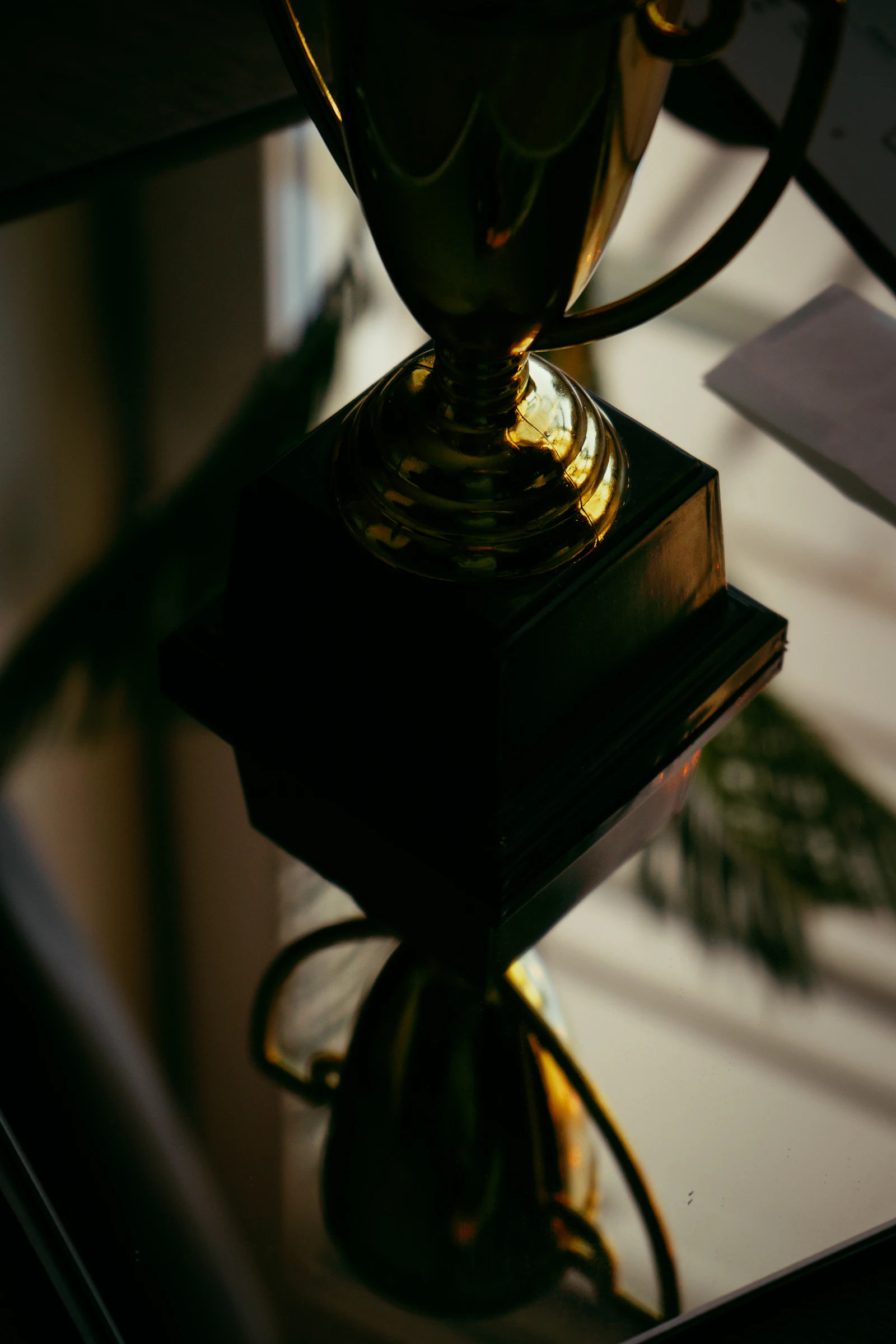 Trophée sous les projecteurs