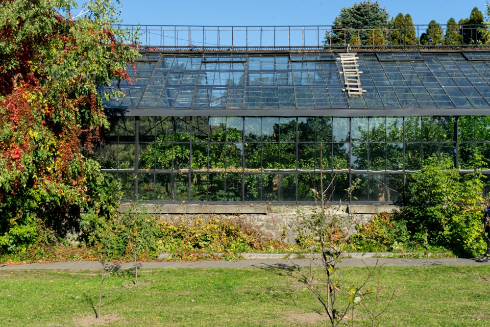 a building with a glass roof surrounded by trees