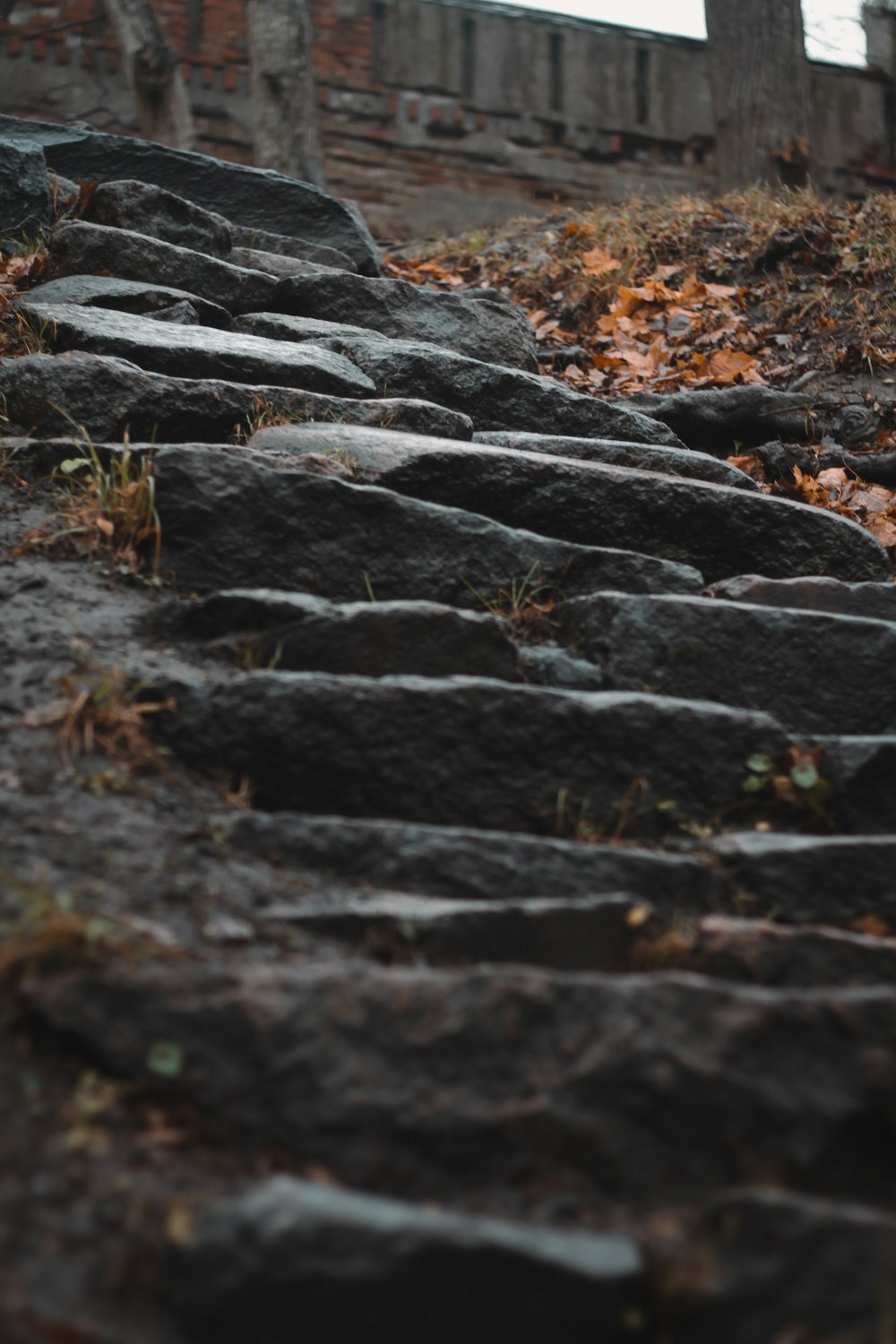 a set of stone steps leading up a hill