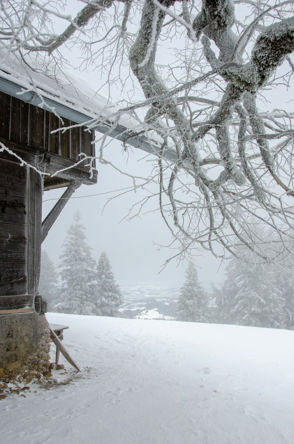 a snow covered field next to a wooden building