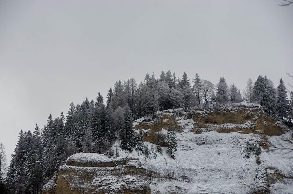 a mountain covered in snow with trees on top of it