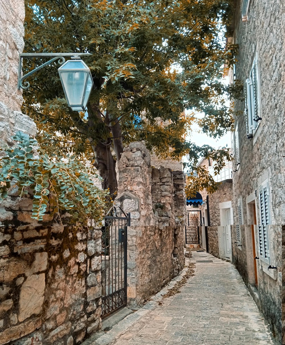 a street light hanging over a stone wall next to a tree