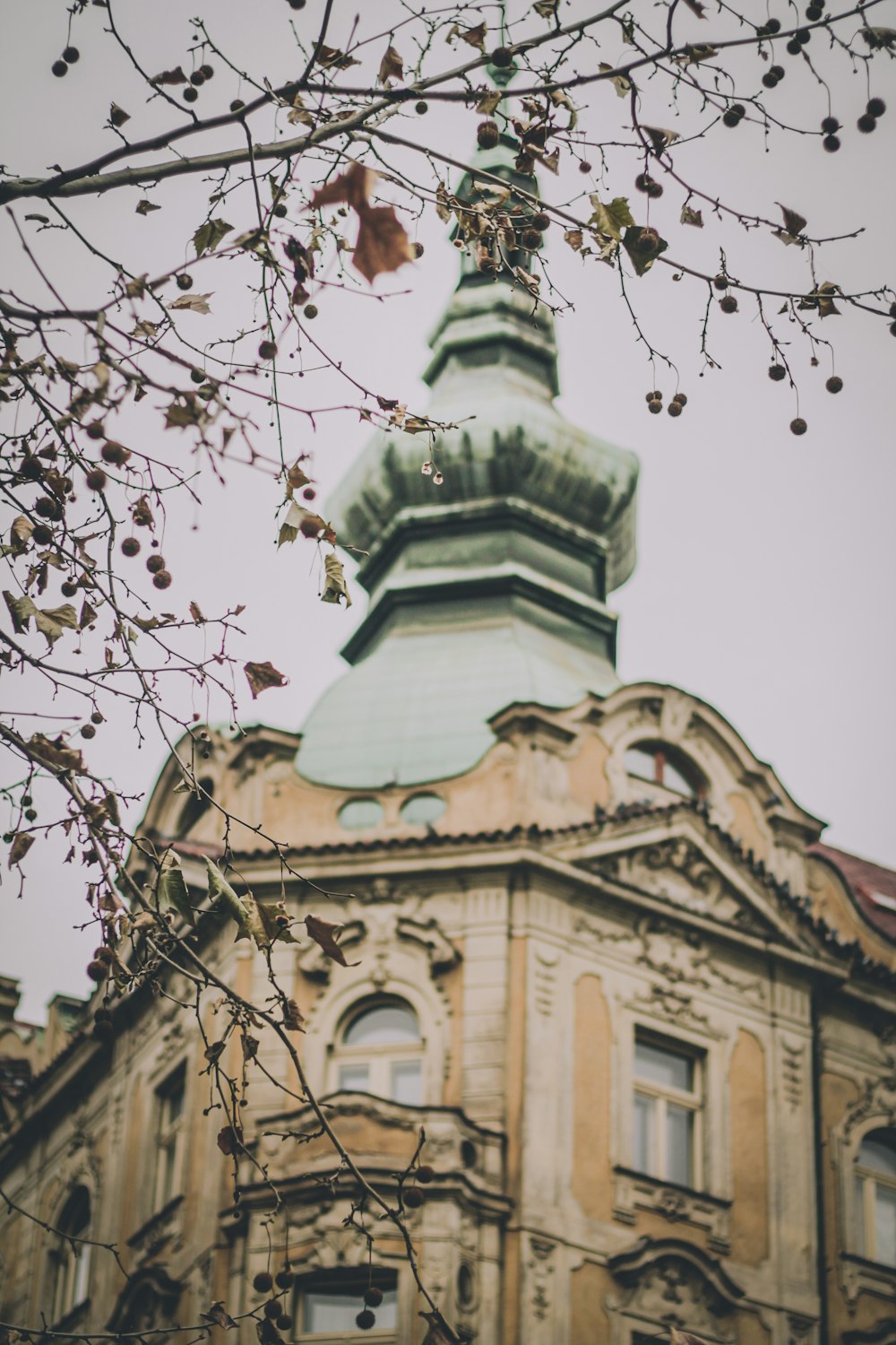 a tall building with a green roof and a tree in front of it