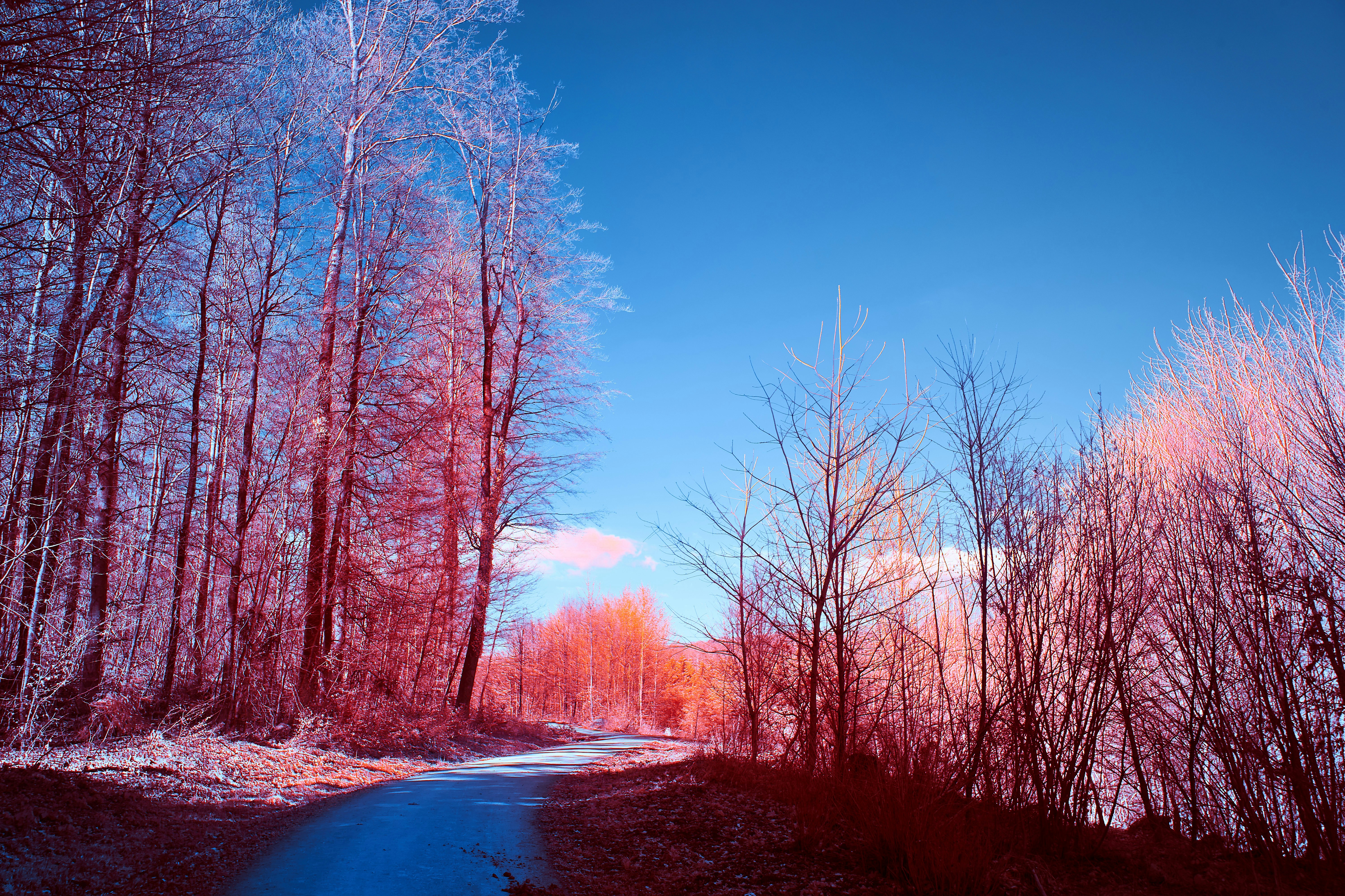 Photo by wolfgang_hasselmann