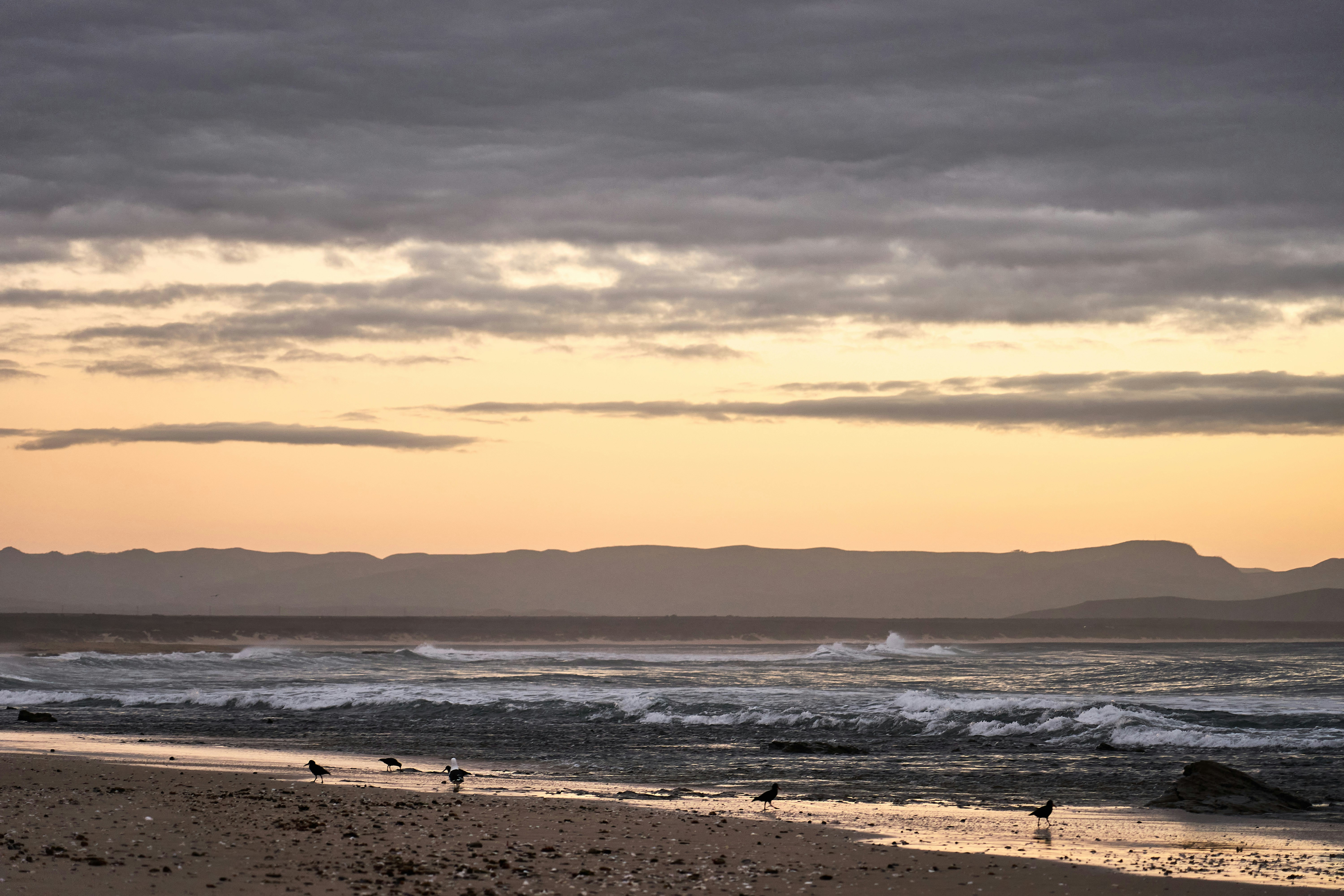 Photo by wolfgang_hasselmann