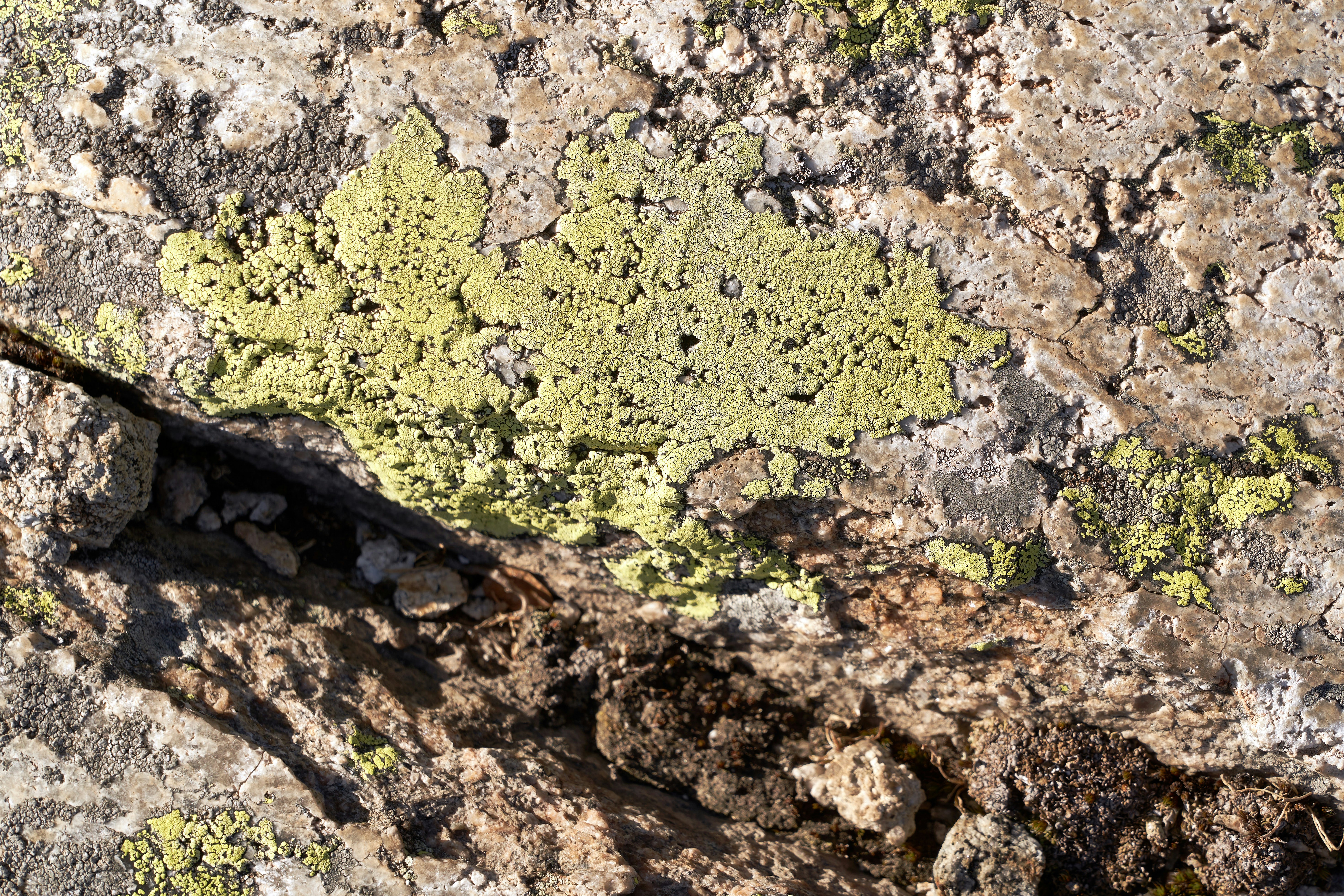 Photo by wolfgang_hasselmann