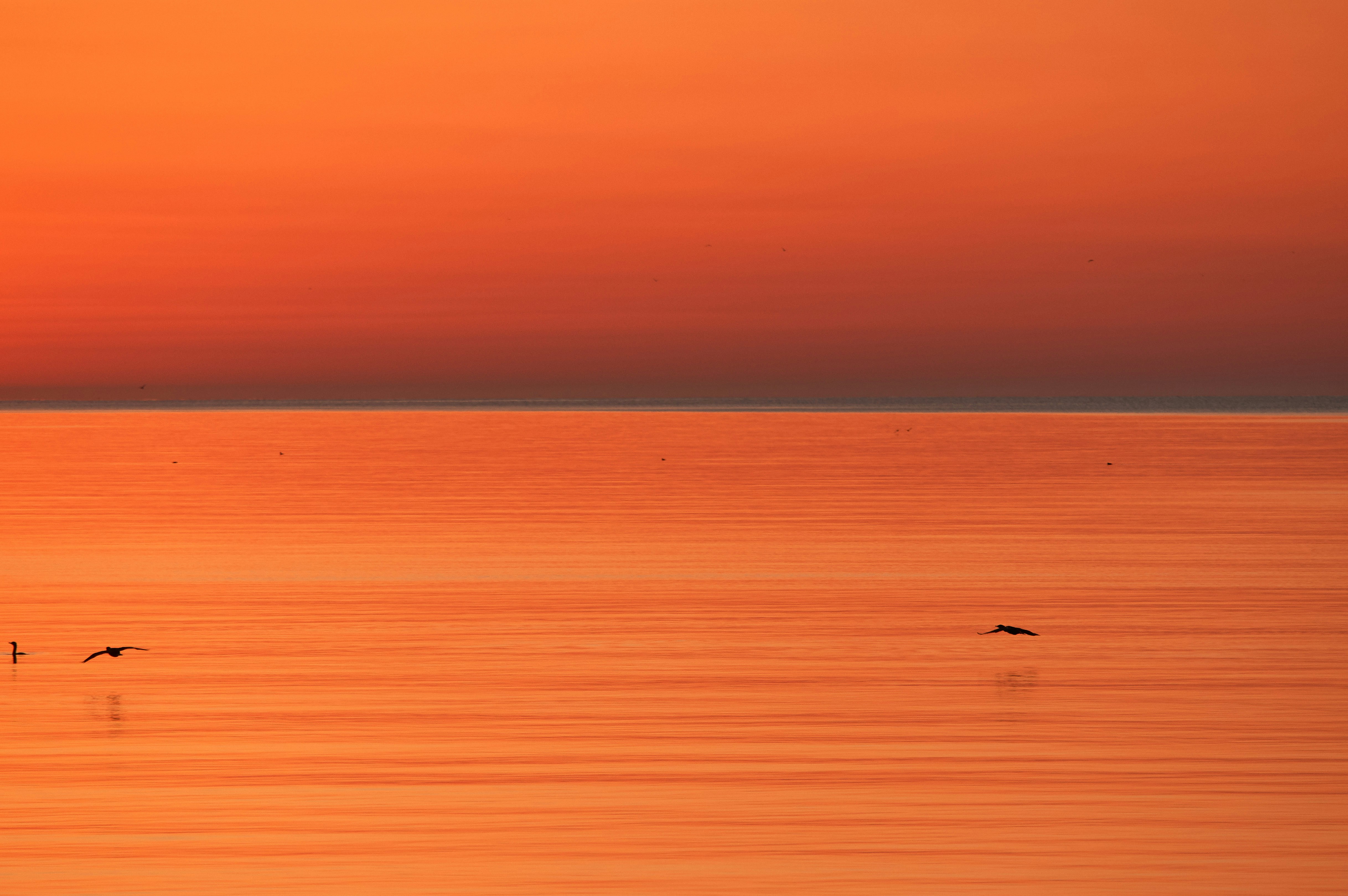 Photo by wolfgang_hasselmann