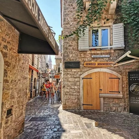 A narrow cobblestone alley lined with ivy-covered walls and quaint artisan shops.