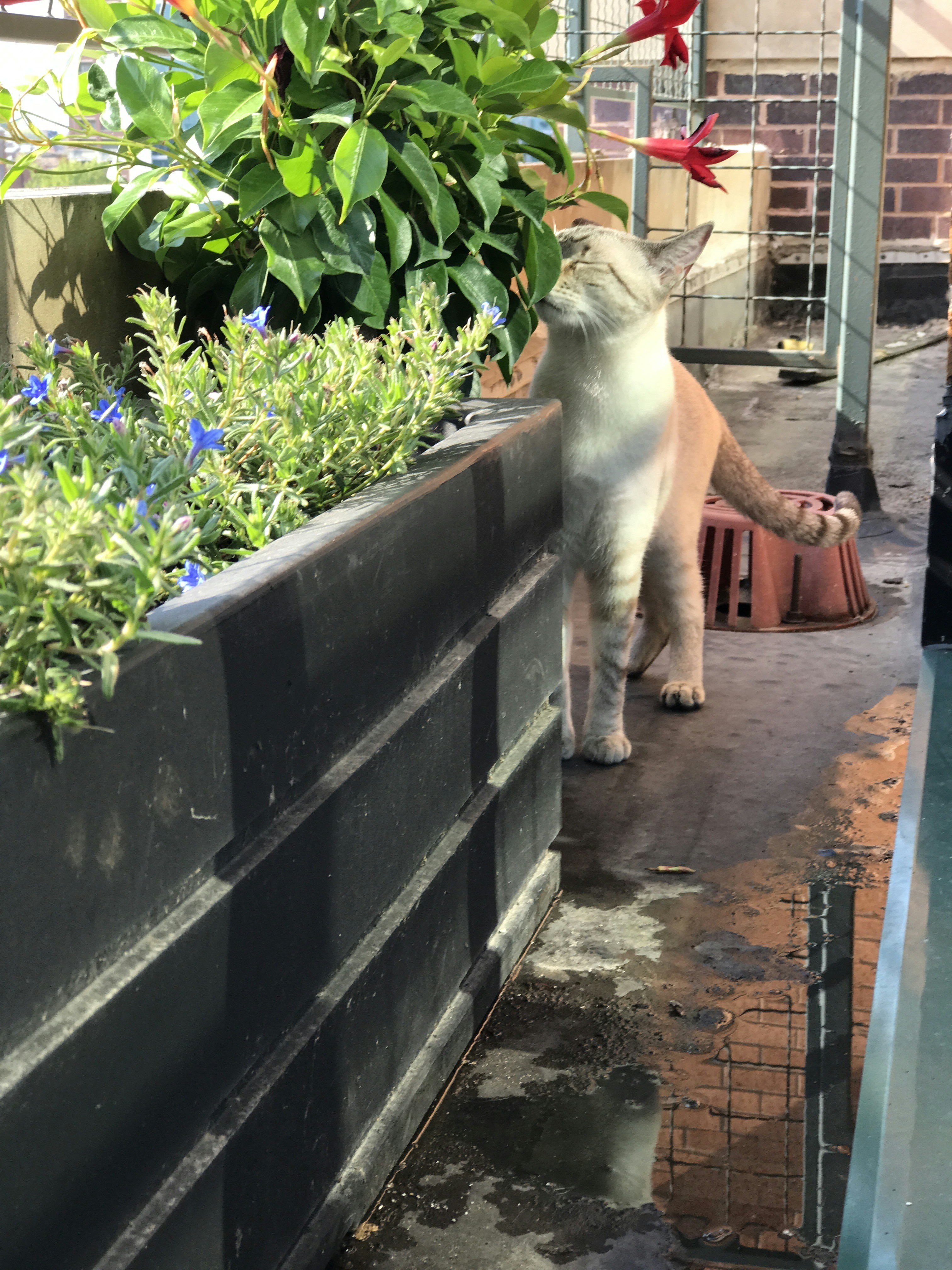 Echoing Your Emotional Cues (image credits: unsplash)