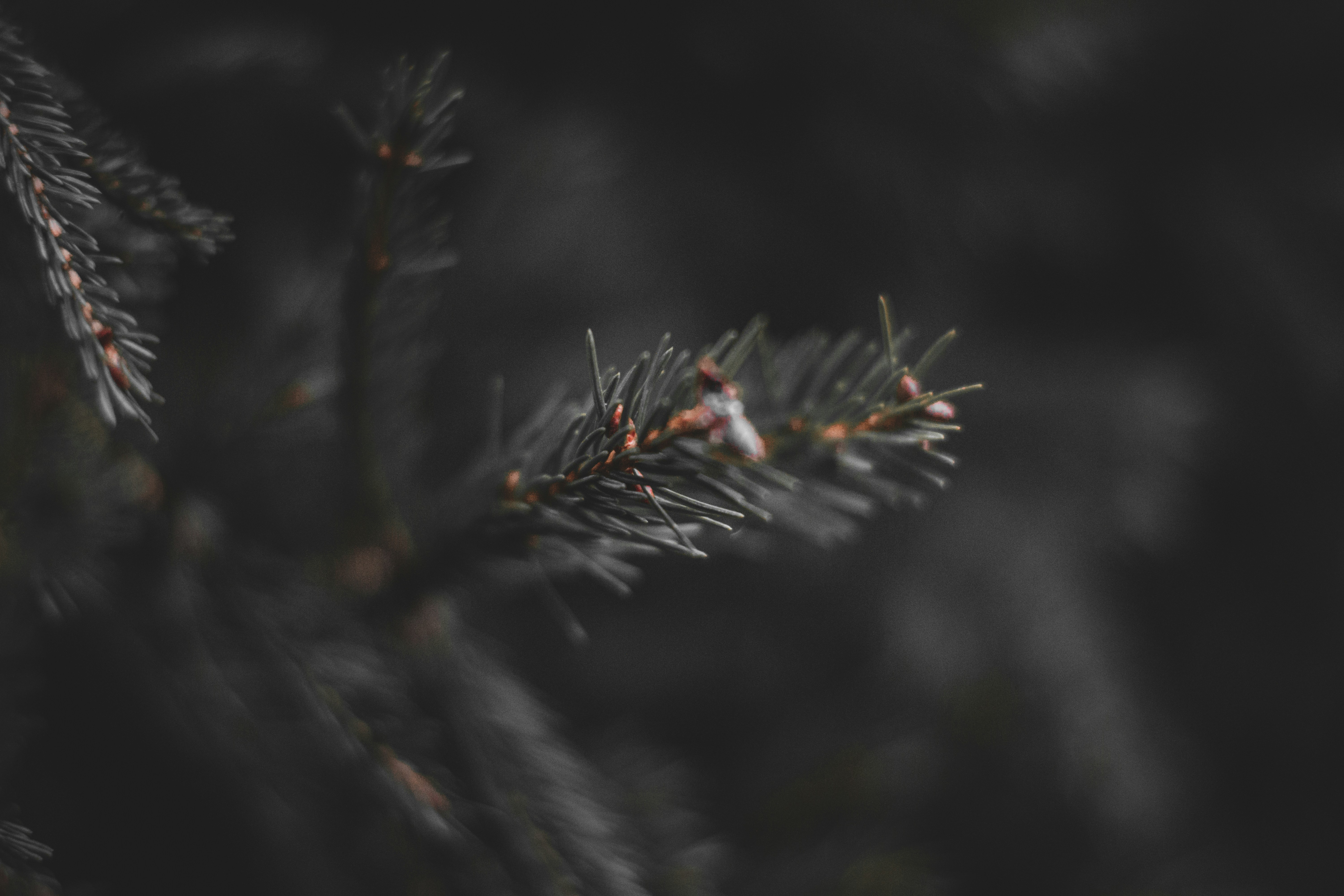 Photo by elliottmason