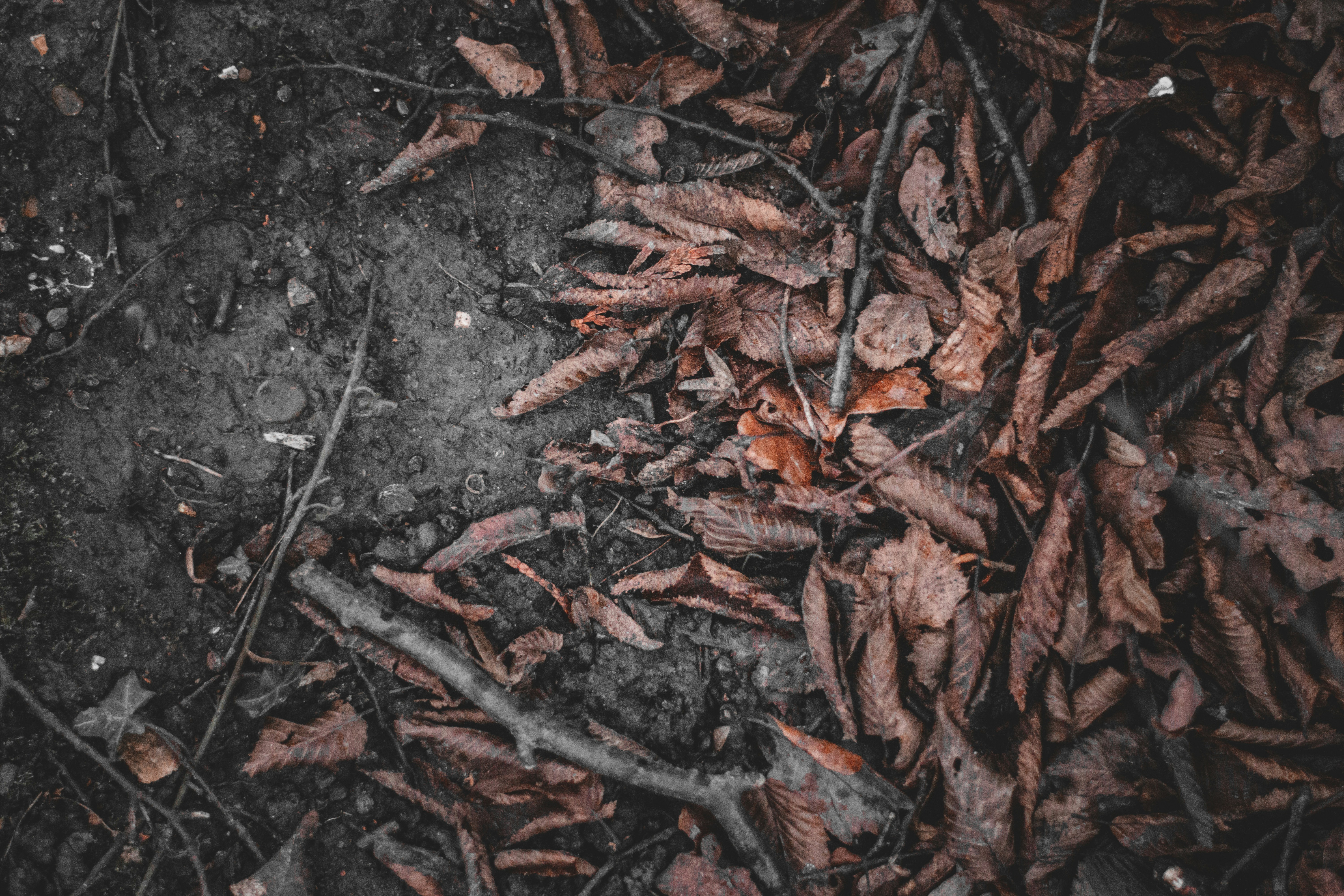 Photo by elliottmason