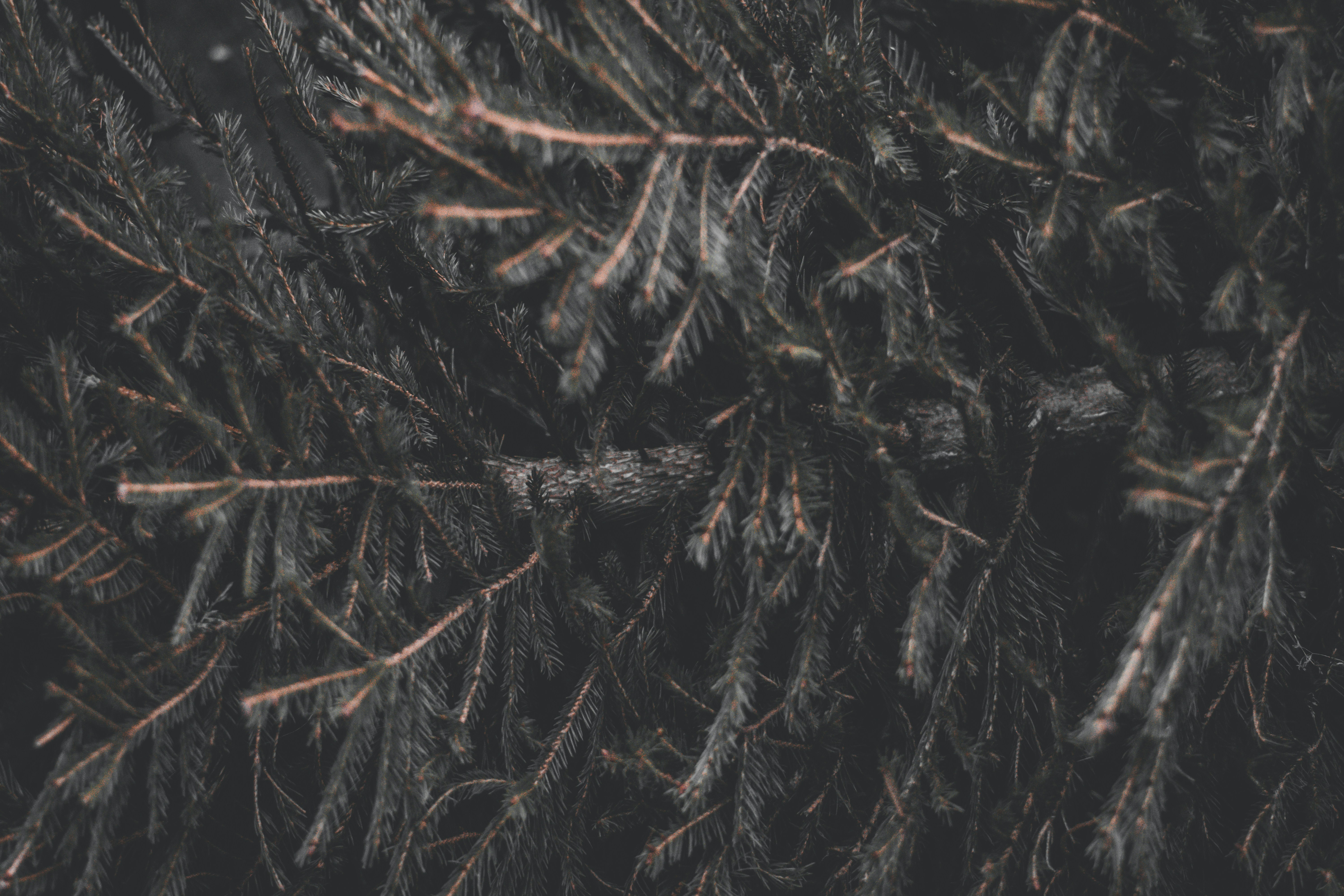 Photo by elliottmason