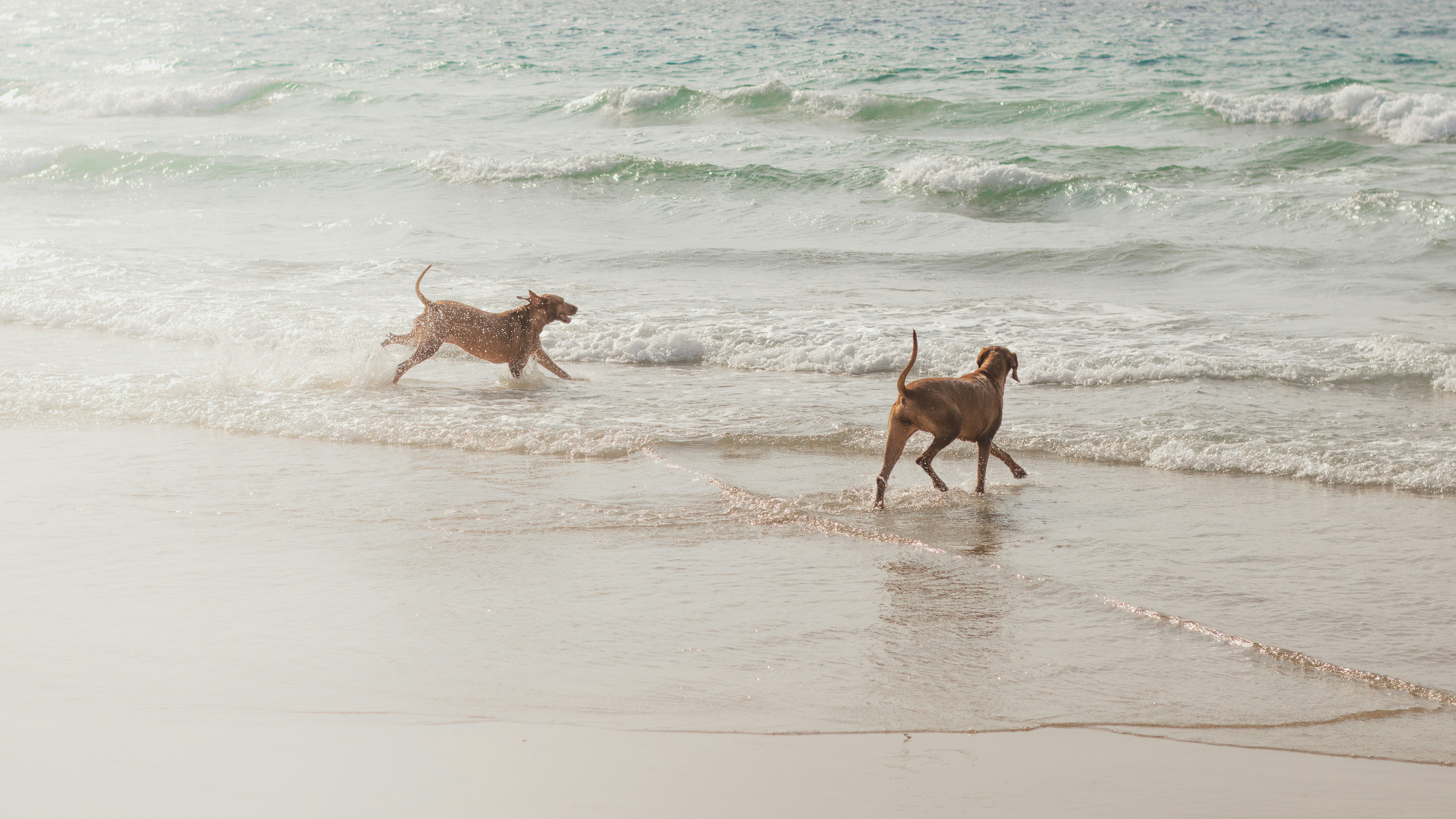 Photo by 18_bondarenko