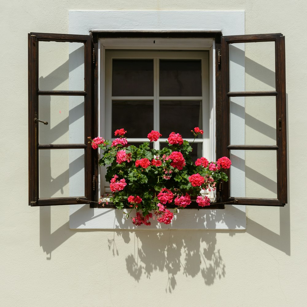 a window that has a bunch of flowers in it