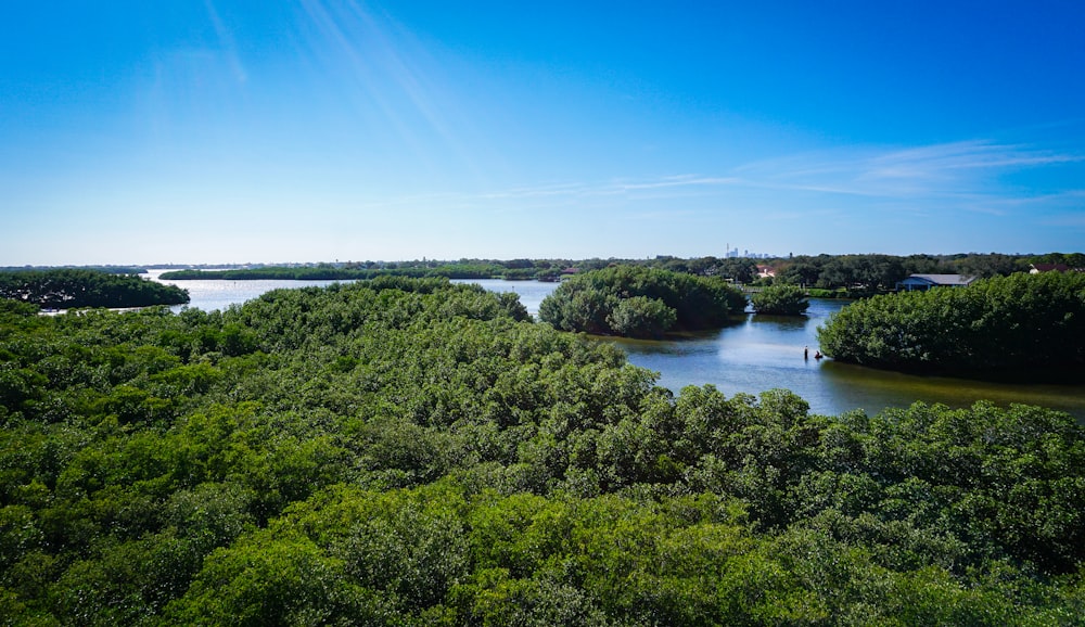 an aerial view of a river surrounded by trees