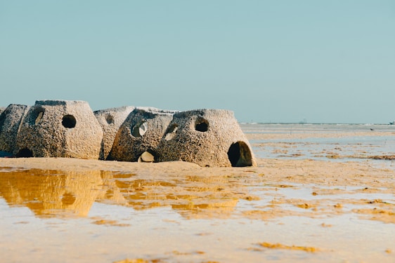Concrete structures with circular openings rest on a sandy beach, partially submerged by shallow water. The scene is set under a clear blue sky, creating a peaceful and serene coastal environment.