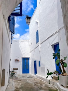 a narrow alleyway with a blue door and a potted plant