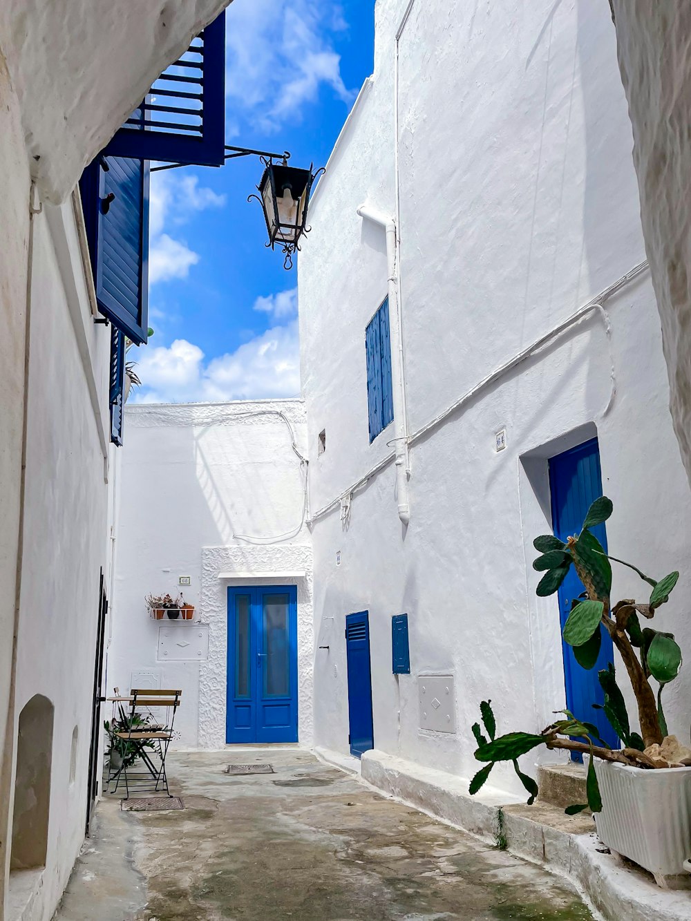 a narrow alleyway with a blue door and a potted plant
