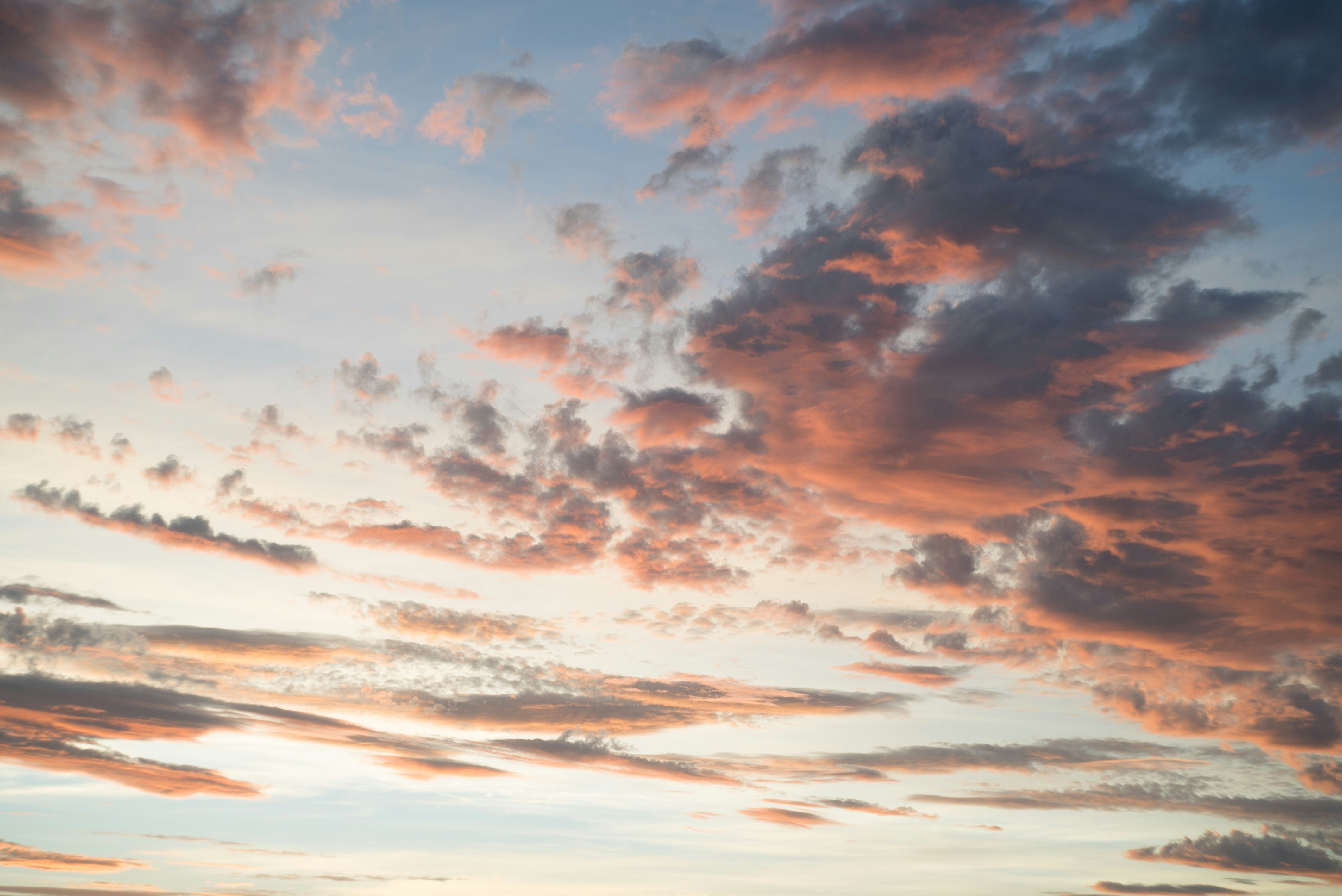 Photo by juliosardinha