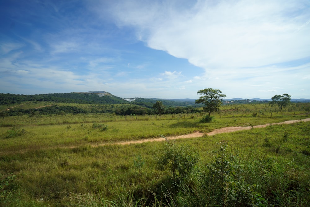 a dirt road running through a lush green field