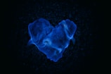 A heart-shaped flame flickering softly against a dark background.