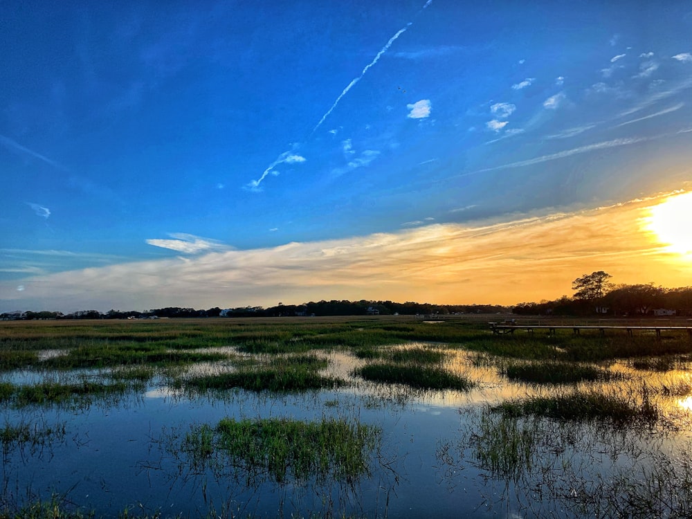 the sun is setting over a marshy area