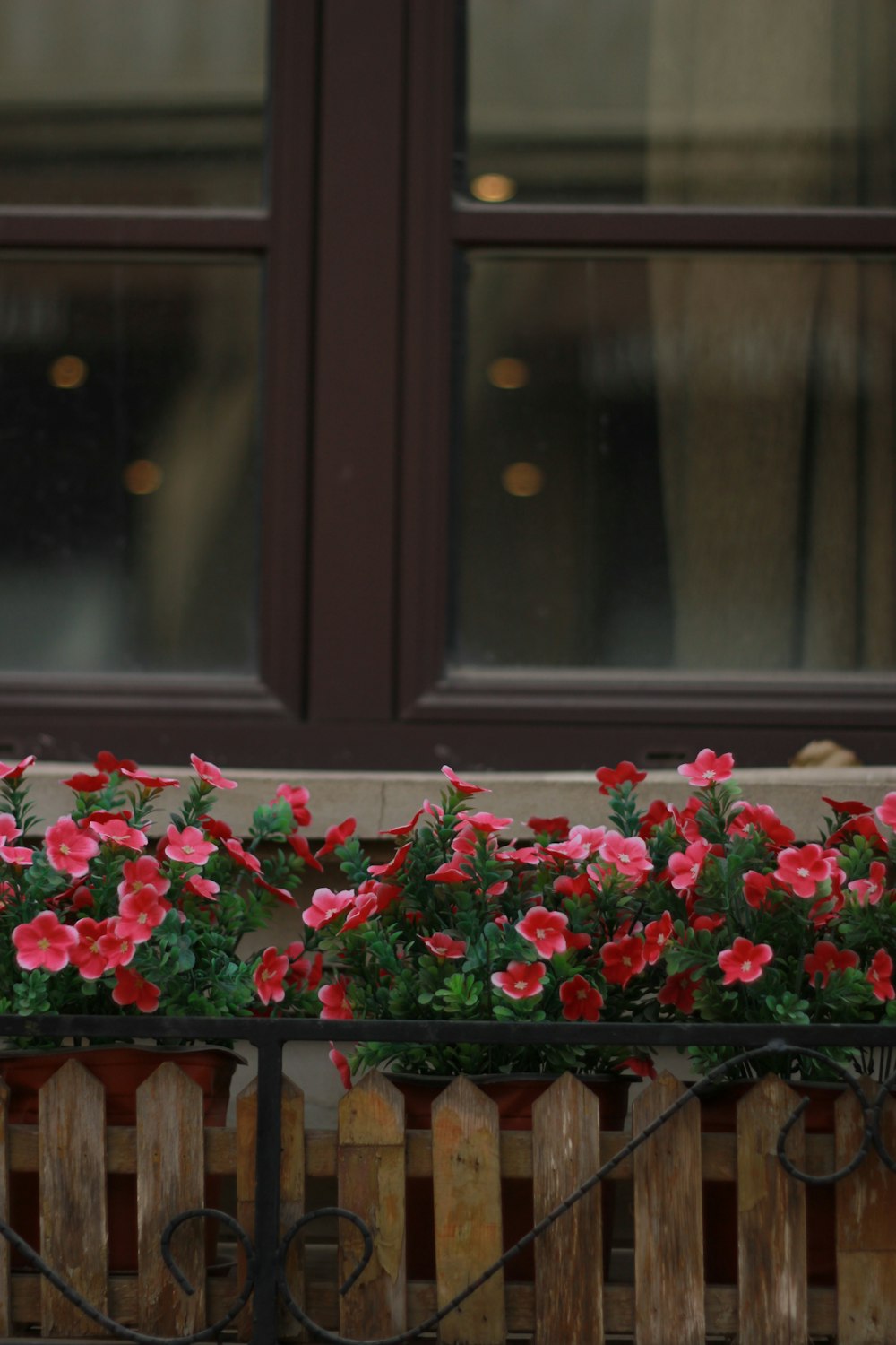 red flowers in a wooden planter outside of a window