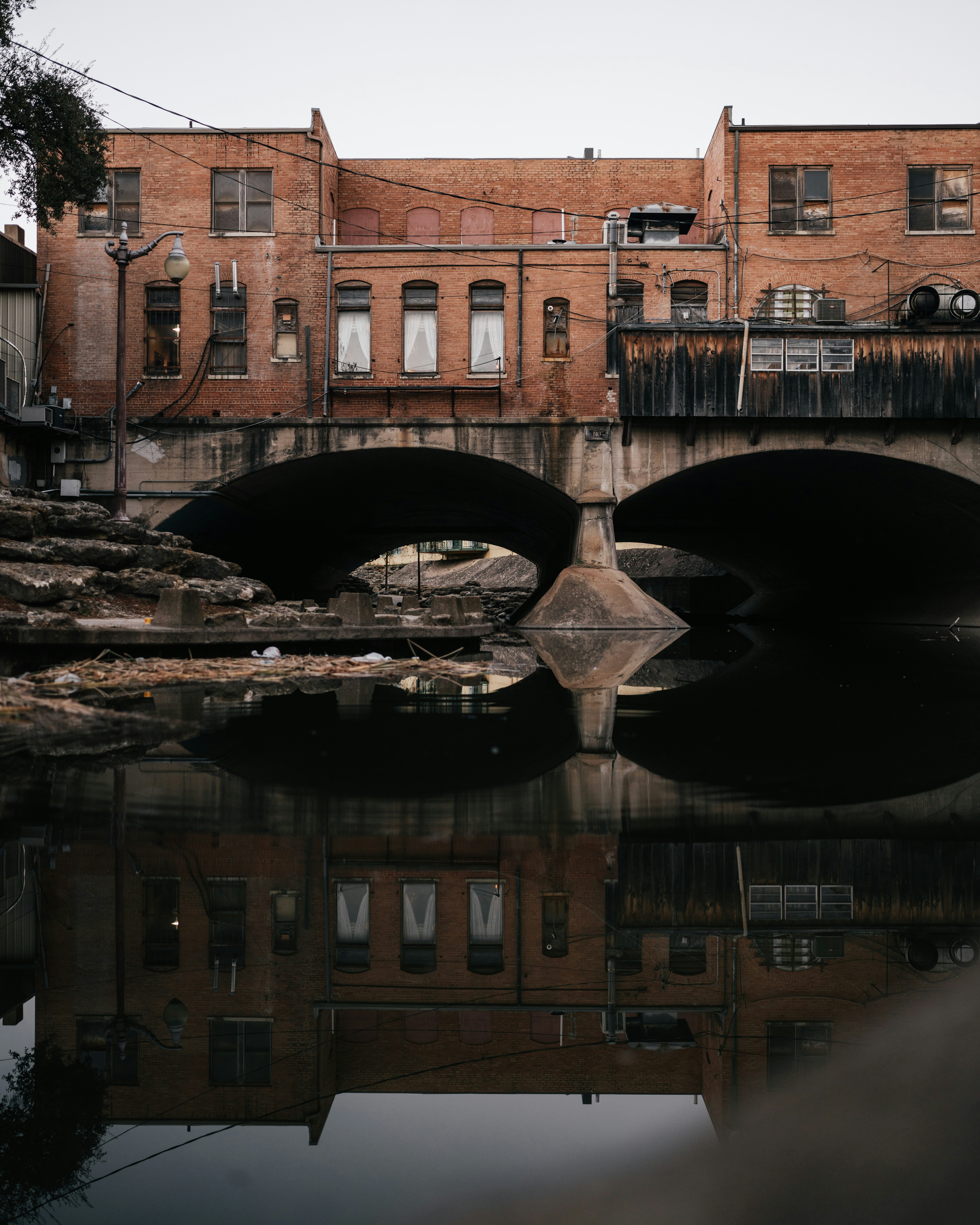 Photo by nftfifty