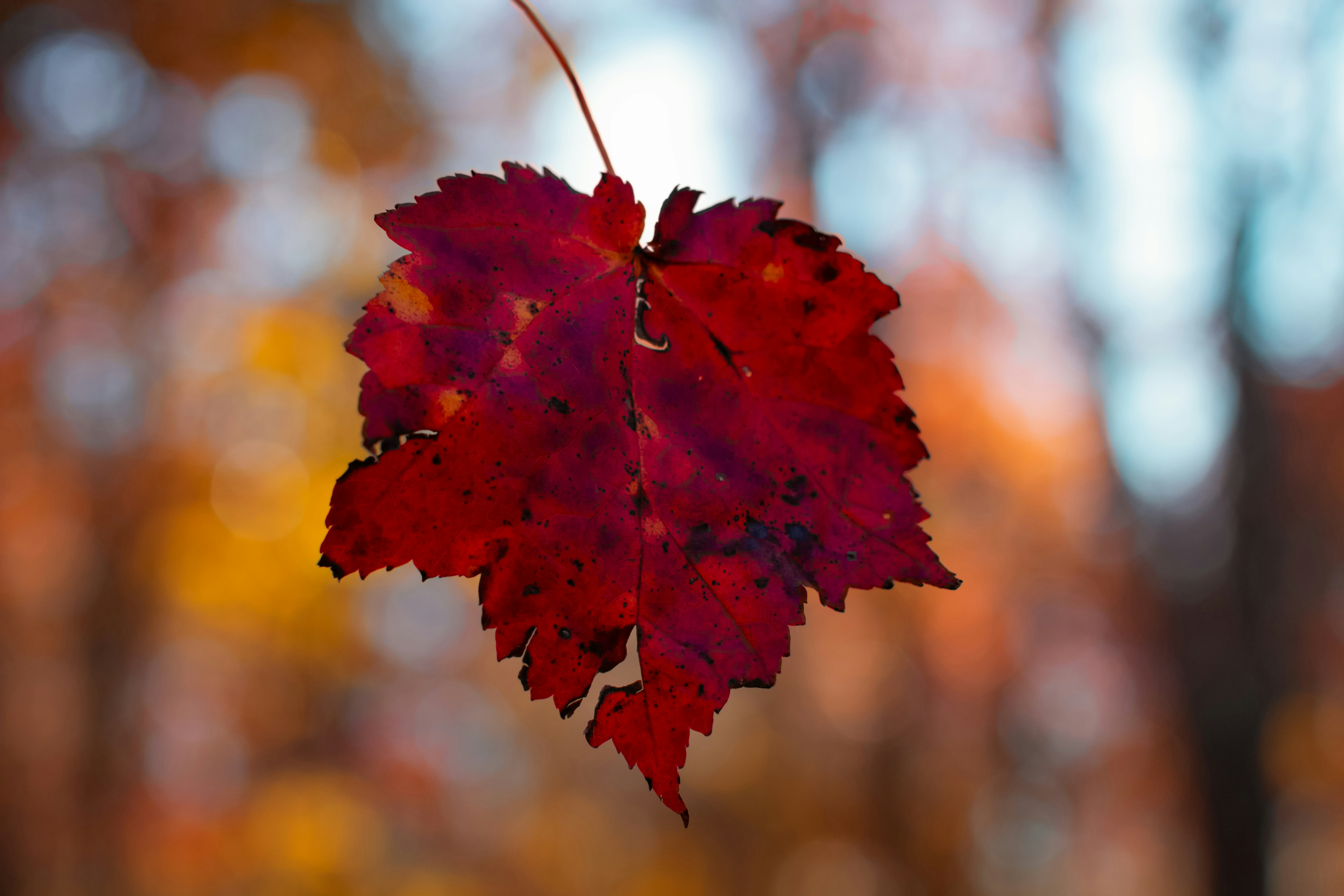 Photo by emmanuelphaeton