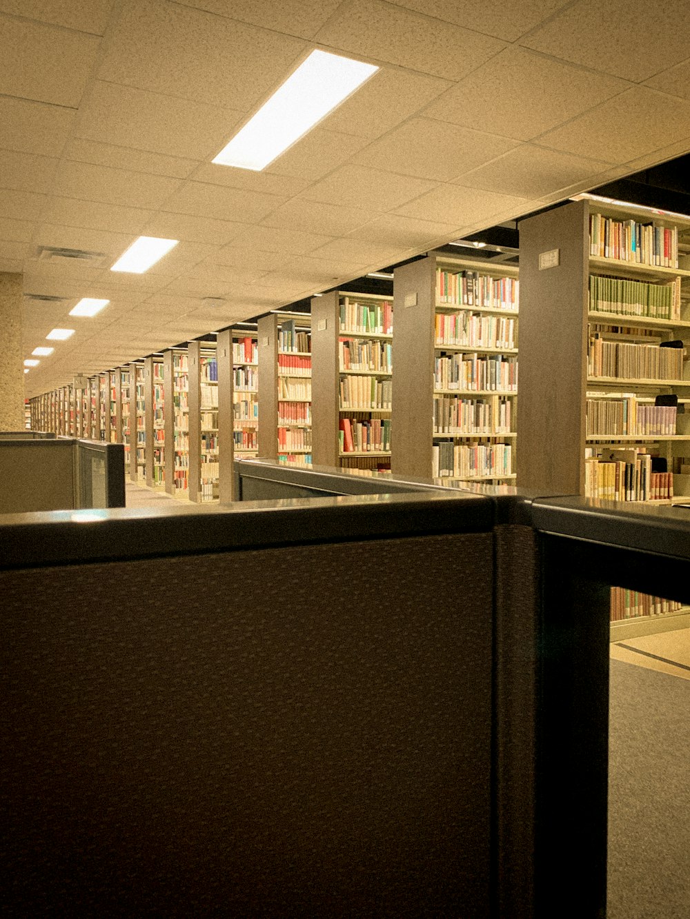 uma fileira de estantes em uma biblioteca cheia de muitos livros