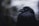 A close-up portrait of a raven with glossy black feathers. The bird appears to be looking off to the side with a mysterious aura. The background is blurred, giving the focus entirely to the raven and enhancing the contrast between its dark plumage and the soft muted colors behind it.