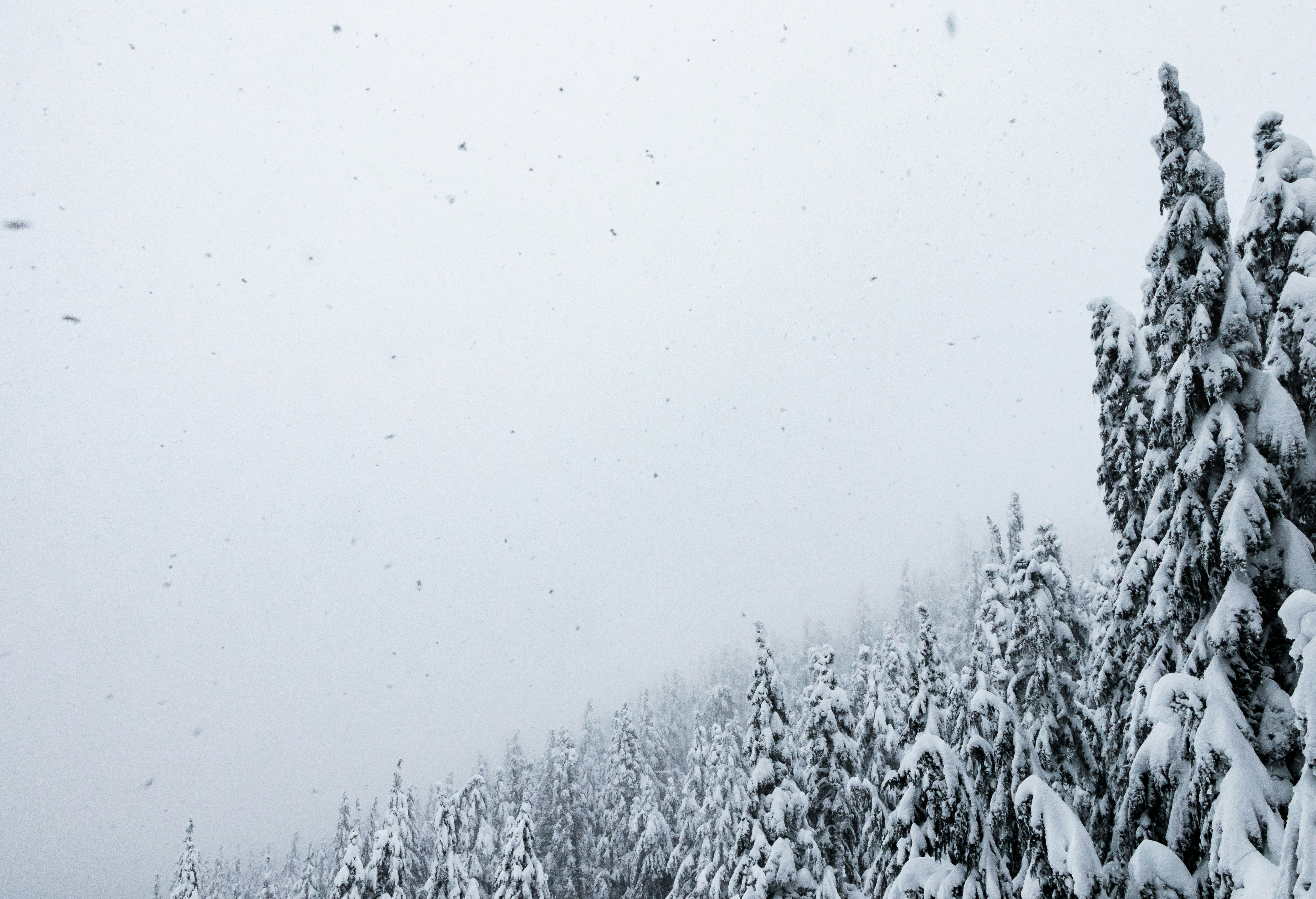 Photo by greg_rosenke