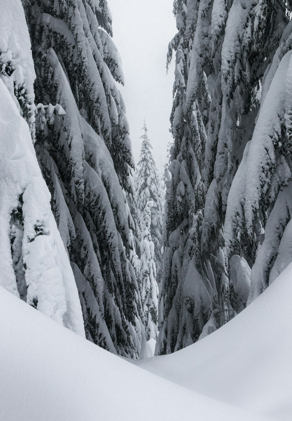 a man riding skis down a snow covered slope