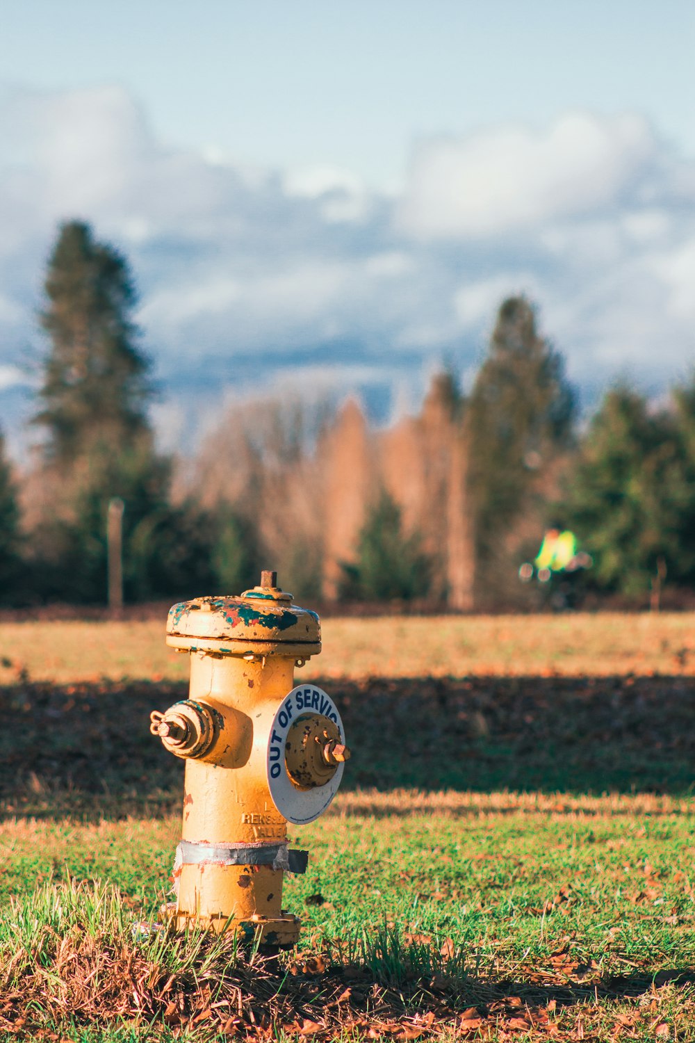 a yellow fire hydrant sitting in the middle of a field