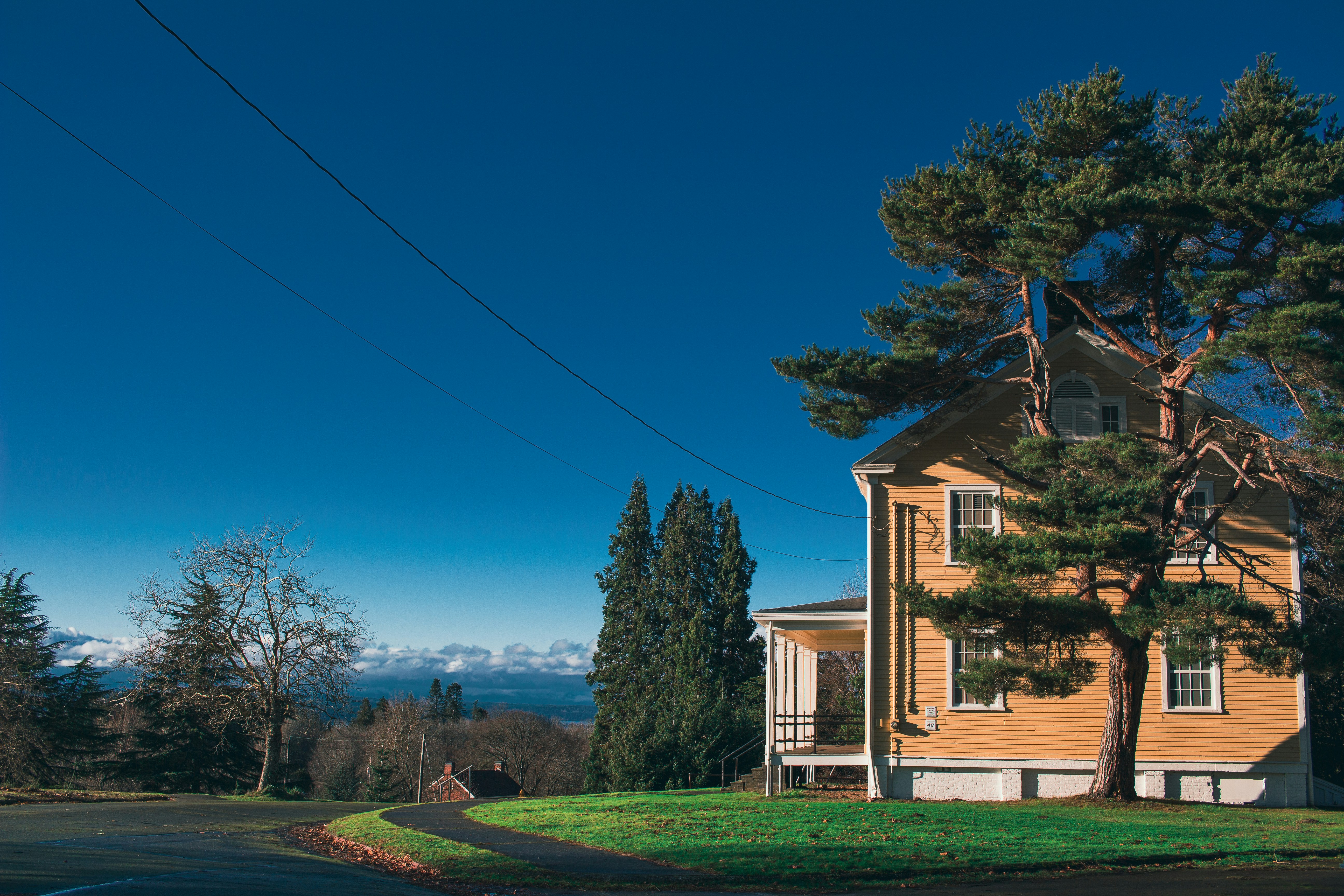 a yellow house with a tree in front of it
