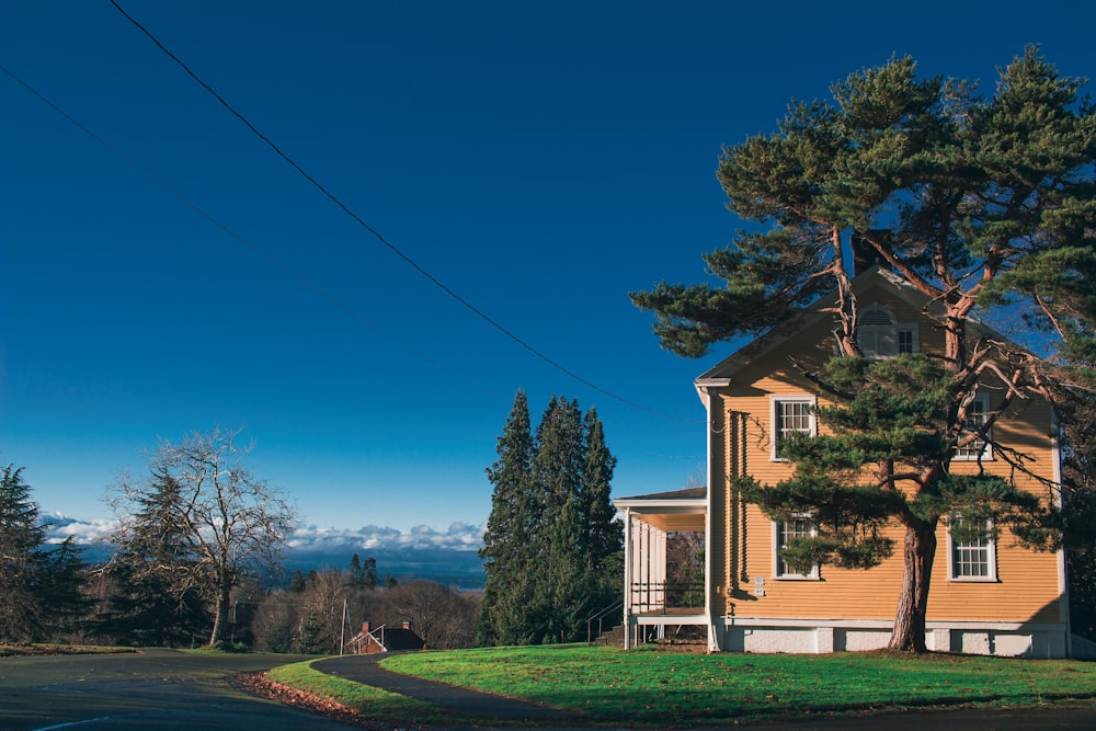 a yellow house with a tree in front of it