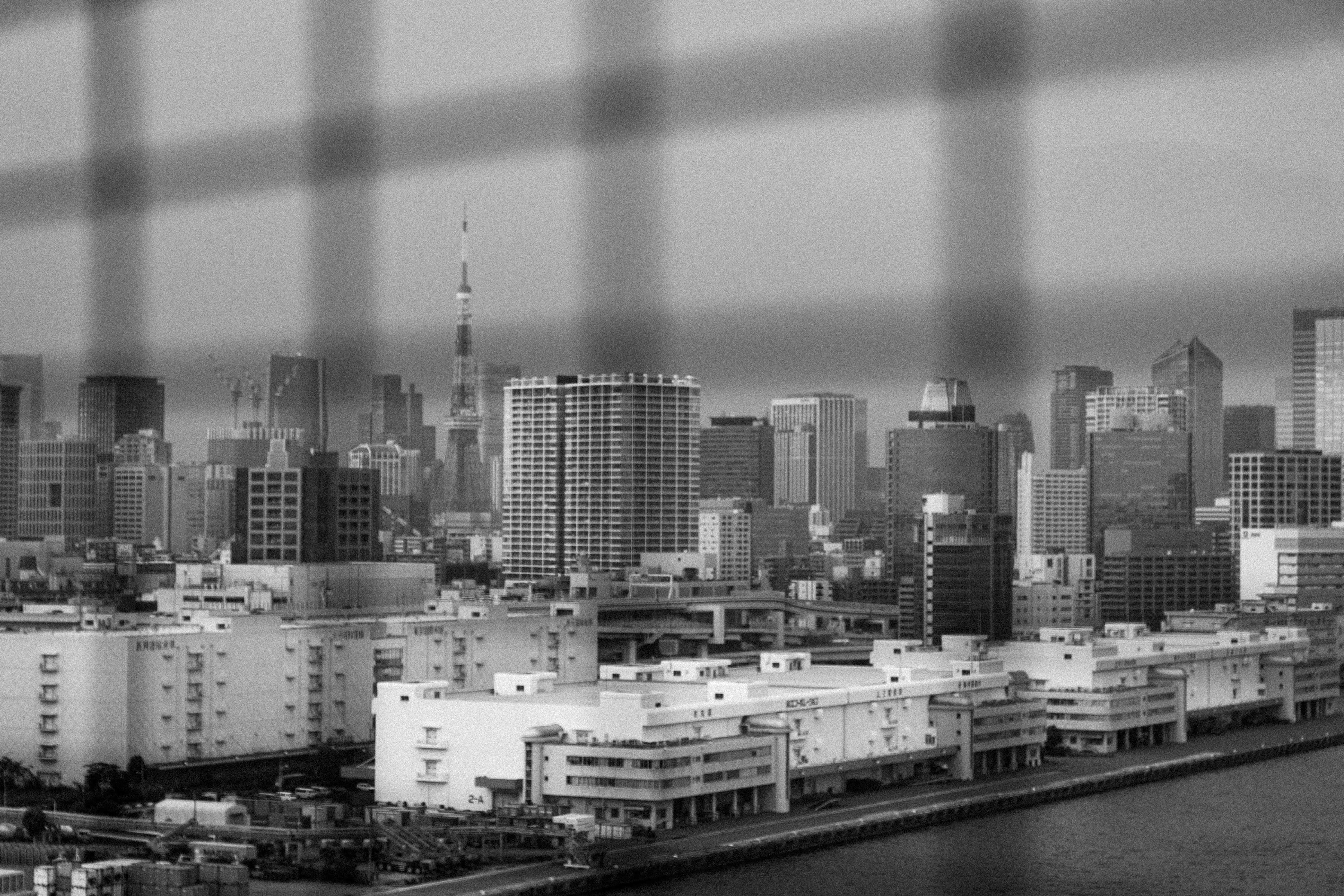 tokyo cityscape with digital overlay
