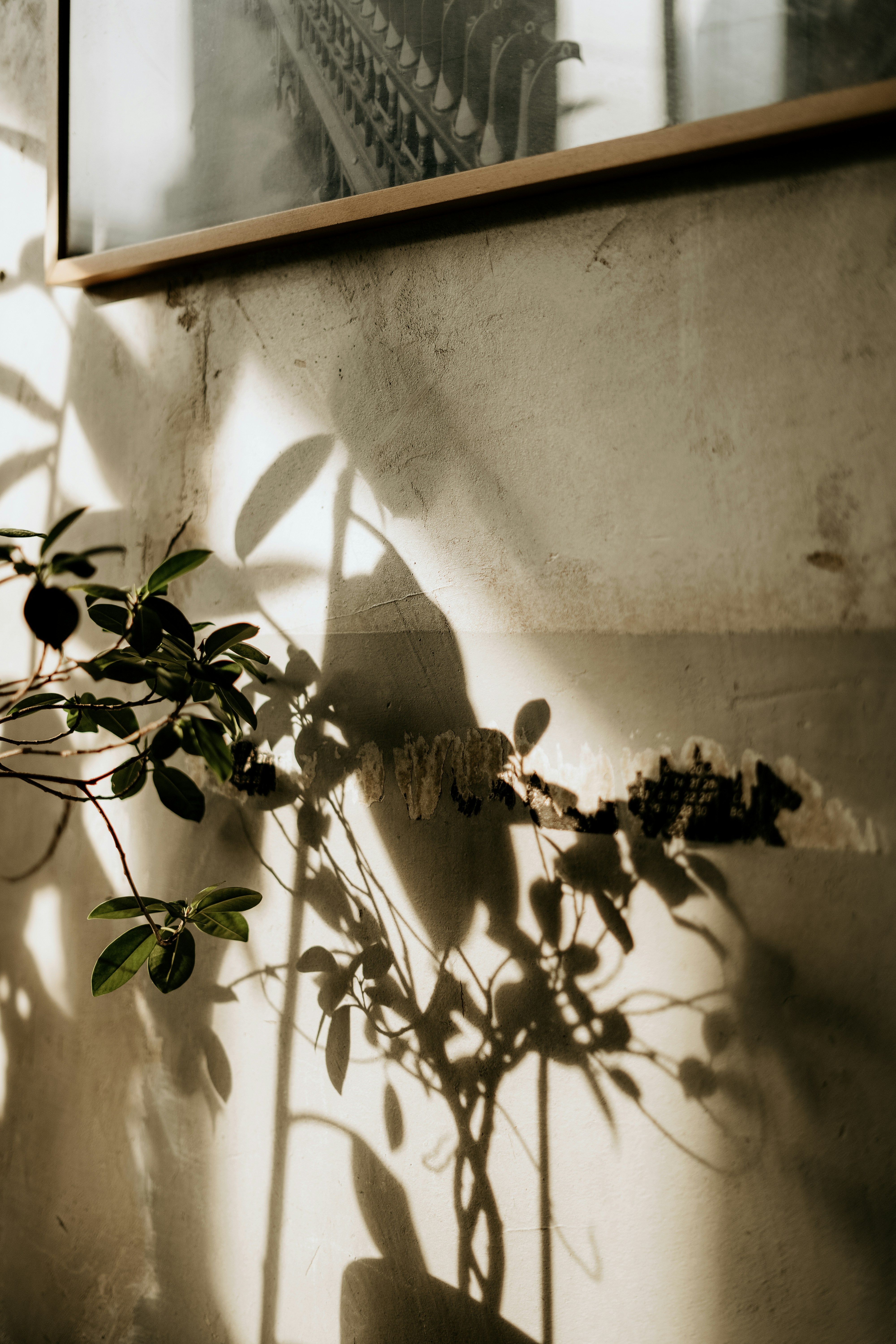 Photo by dubai_love_story