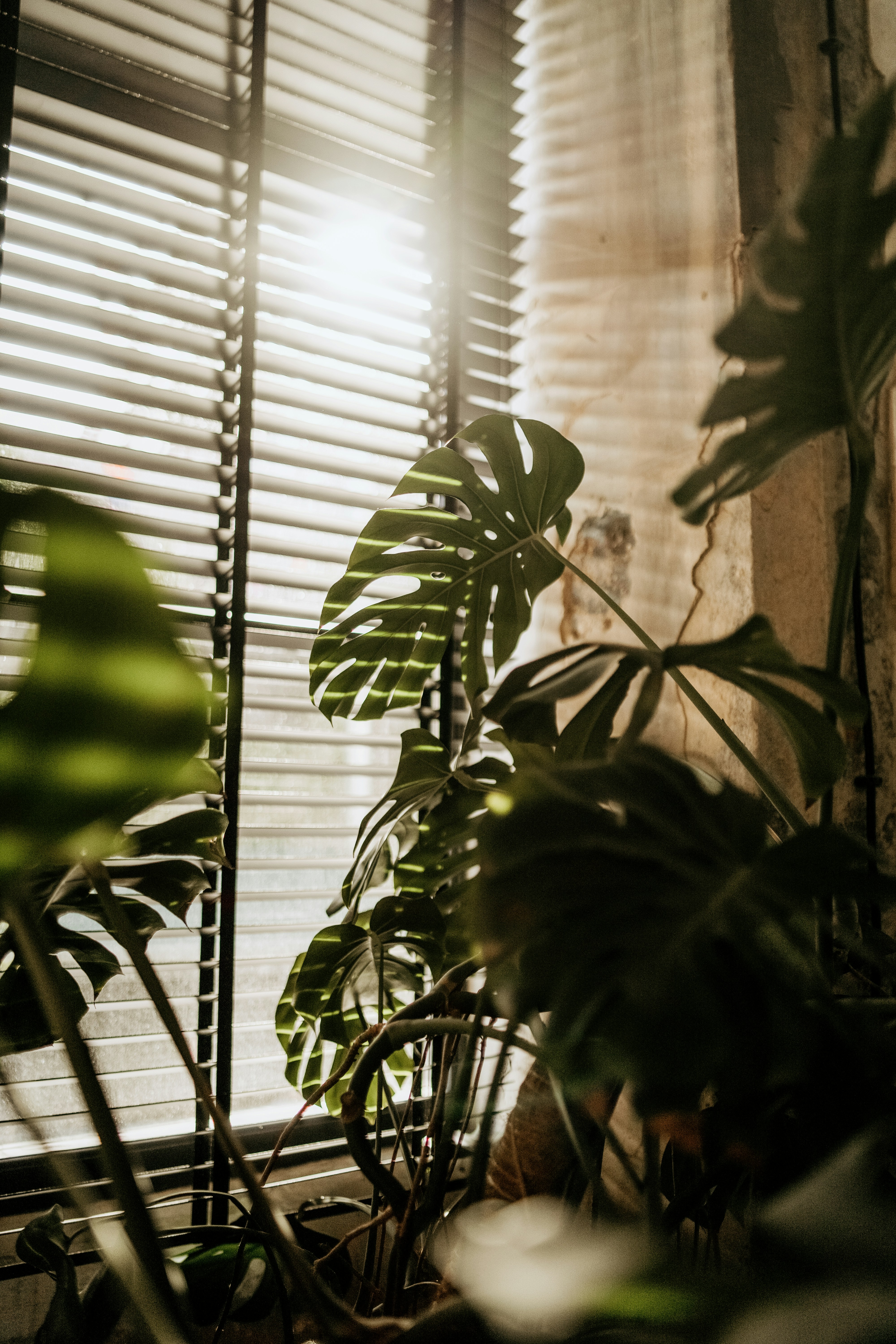 Photo by dubai_love_story