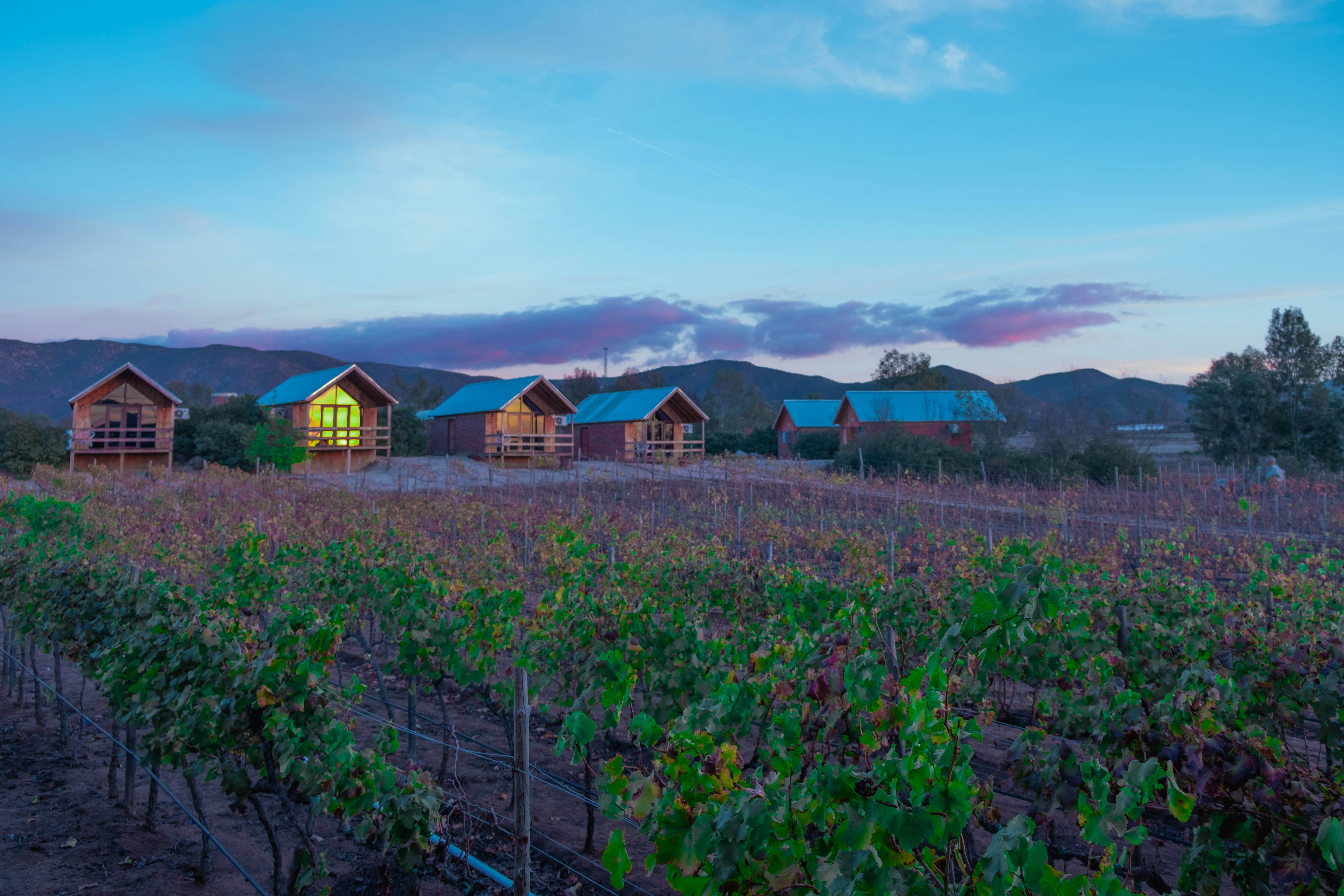 a row of wooden cabins sitting on top of a lush green field, 
